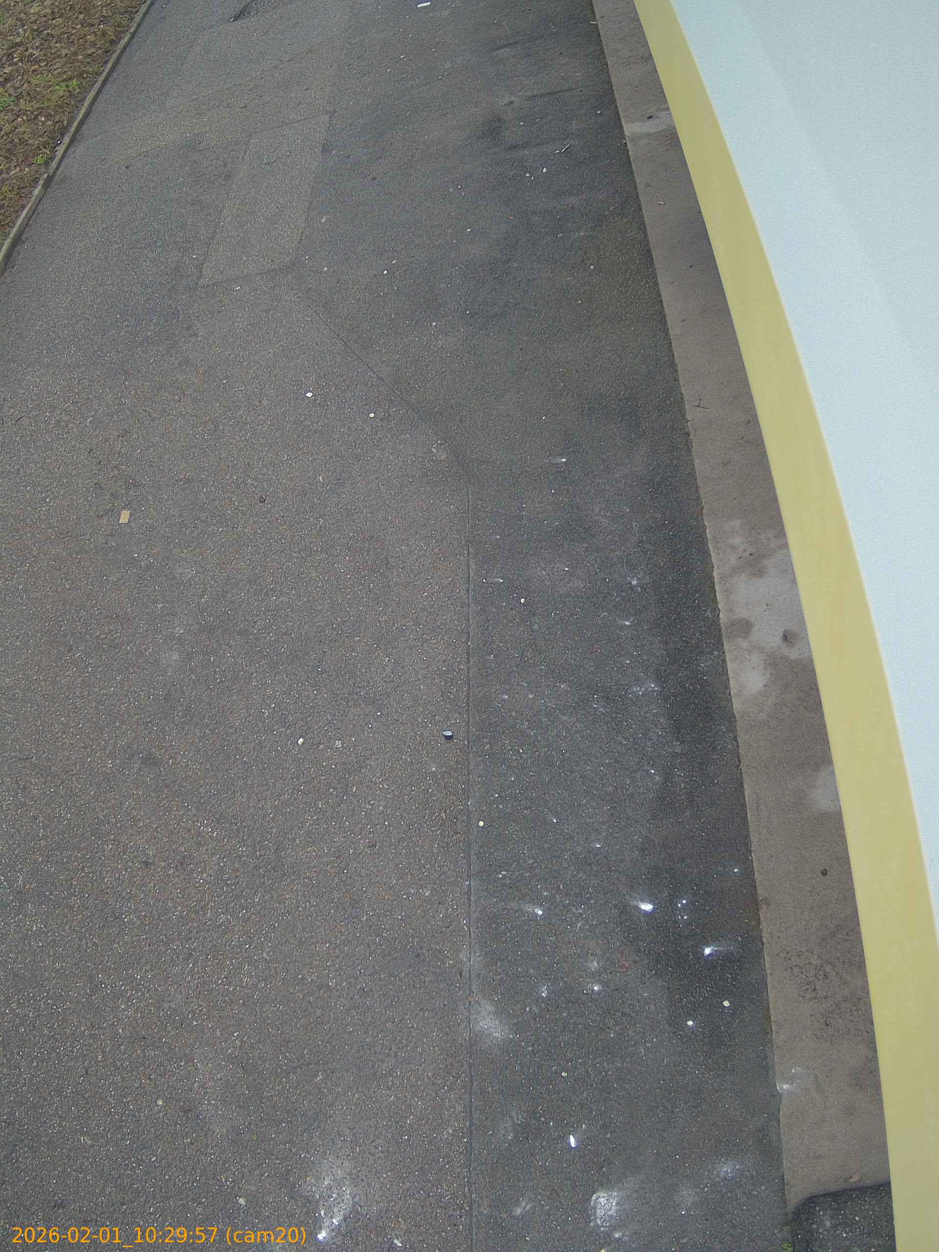 thumbnail_20260201102957