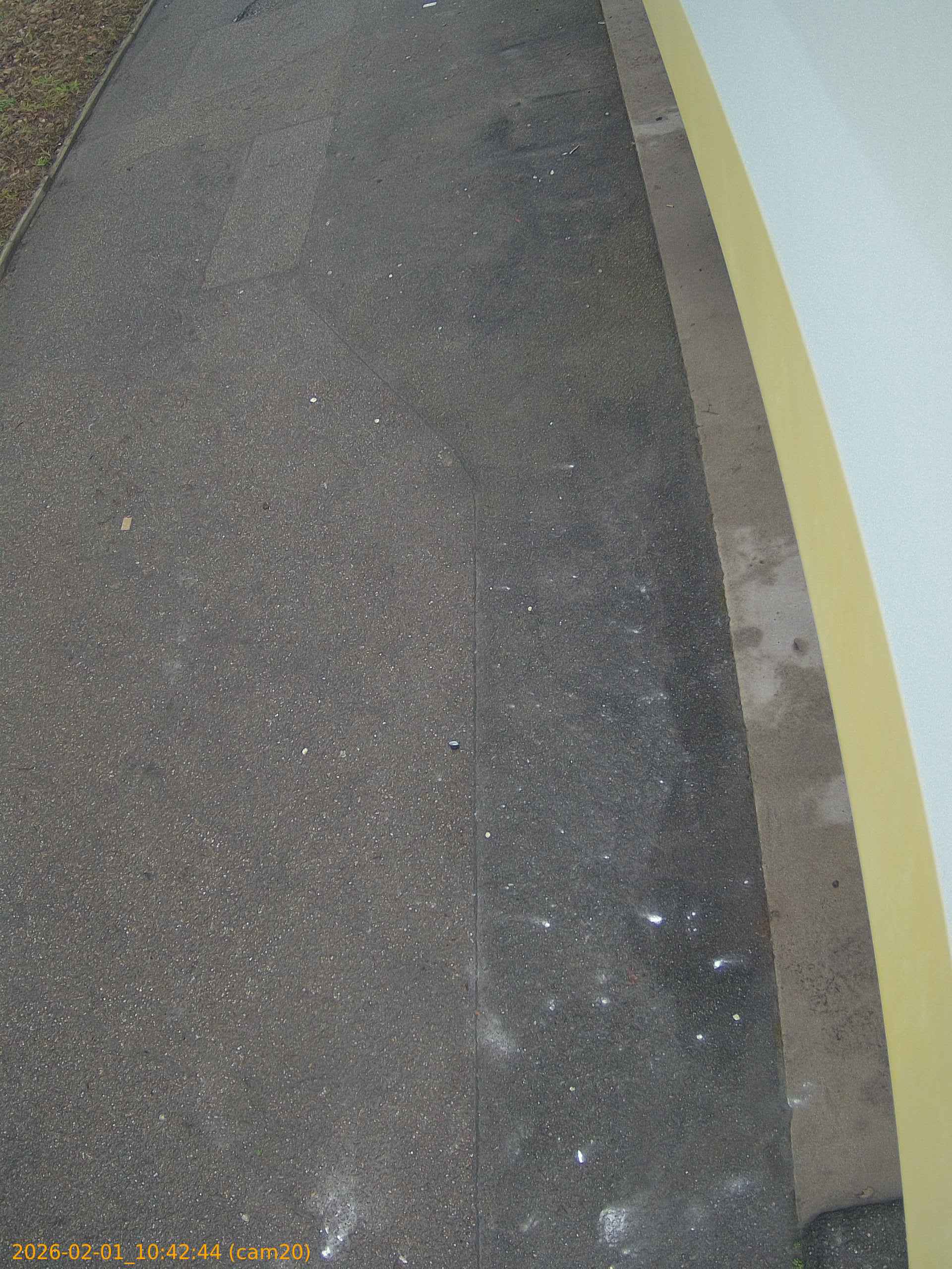 thumbnail_20260201104244