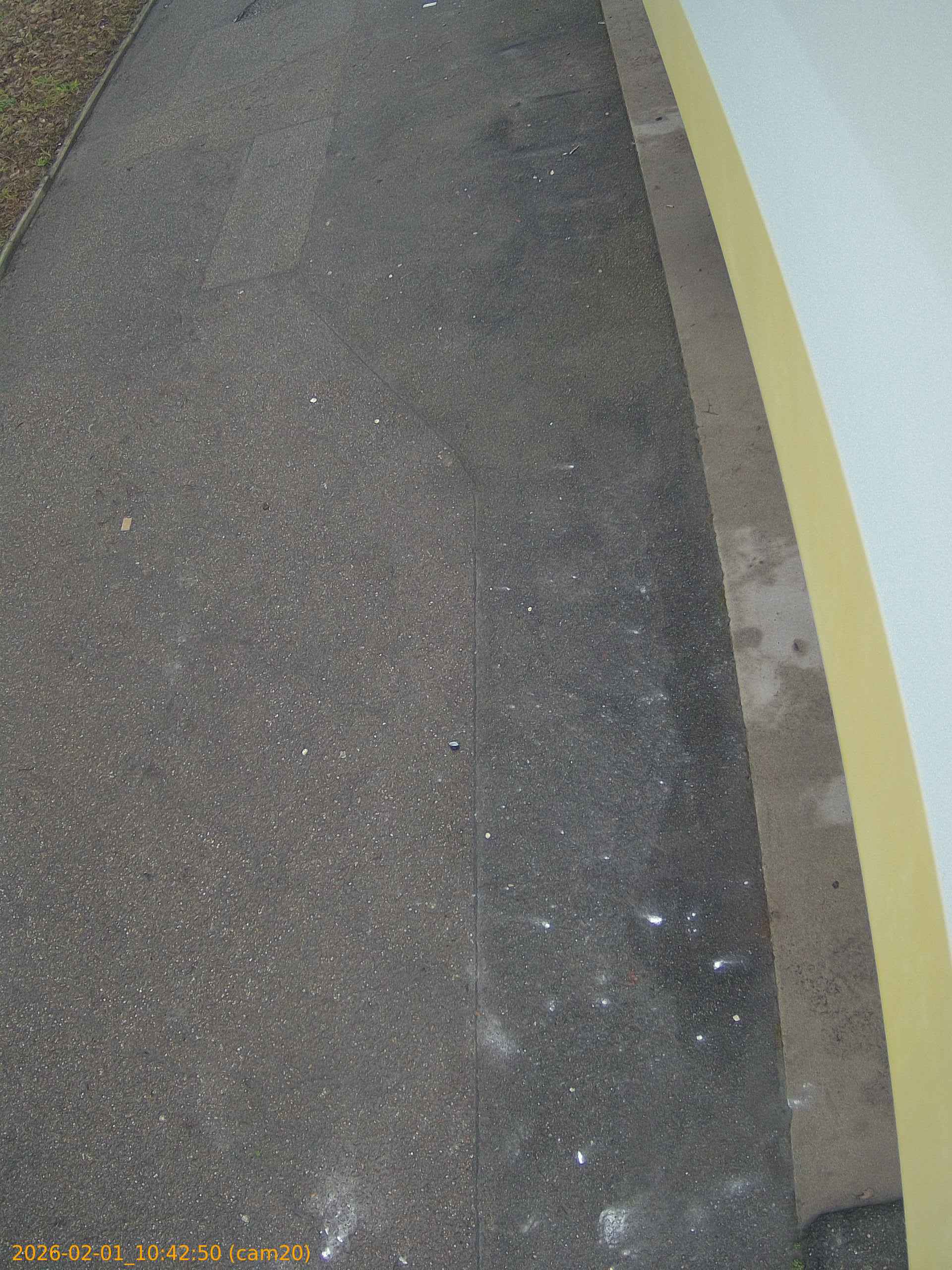 thumbnail_20260201104250