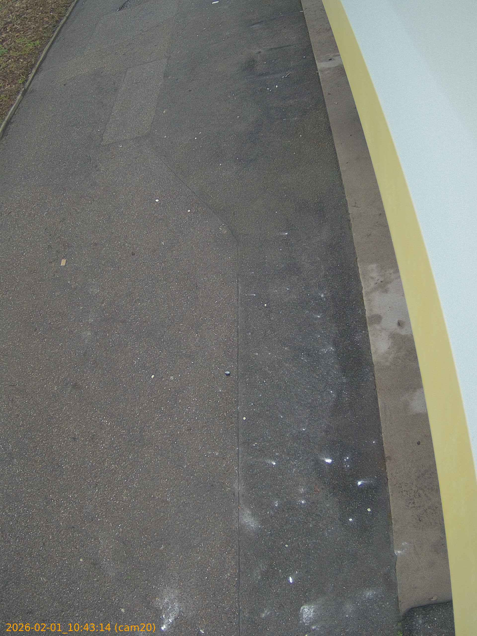 thumbnail_20260201104314