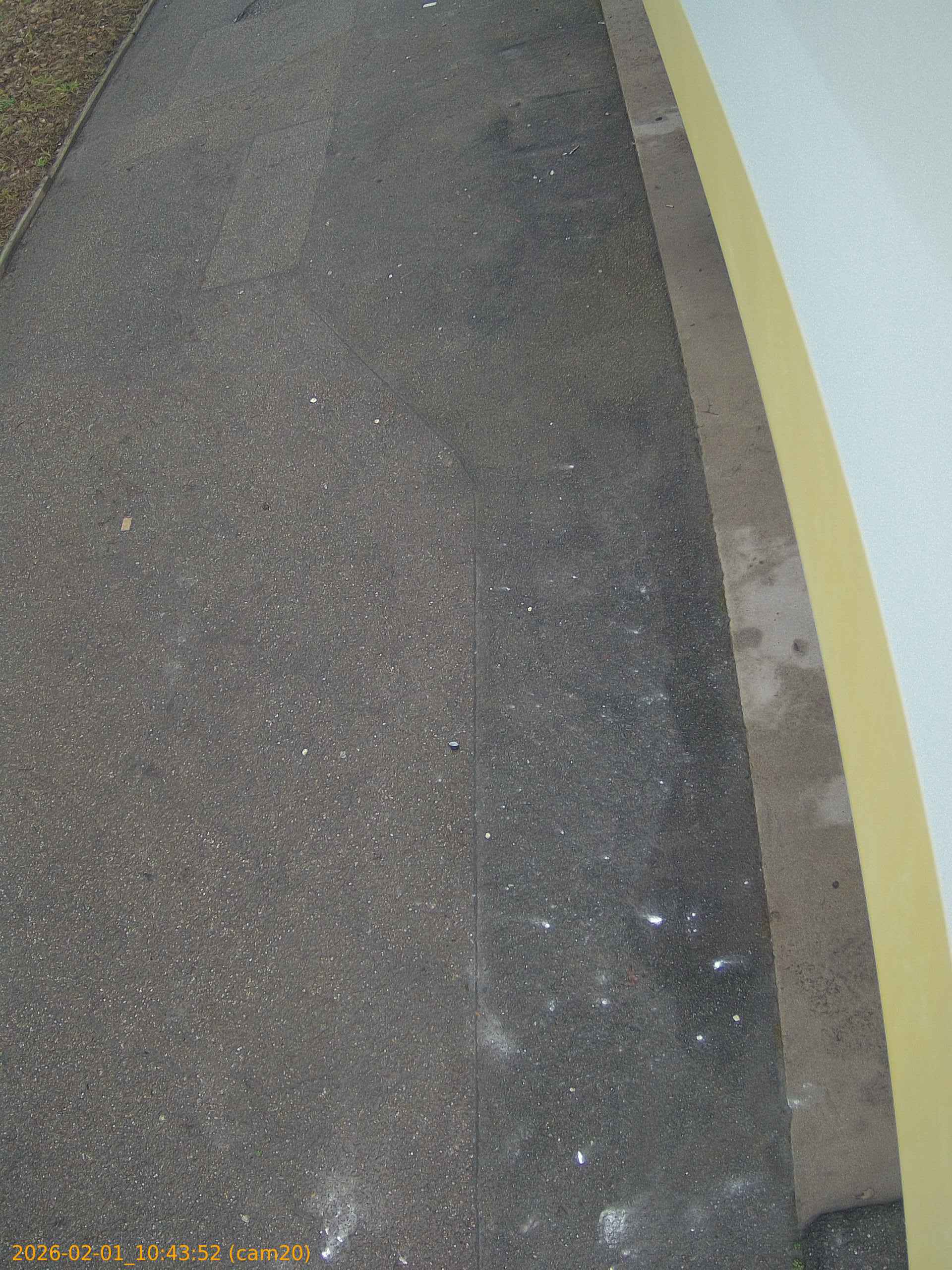 thumbnail_20260201104352