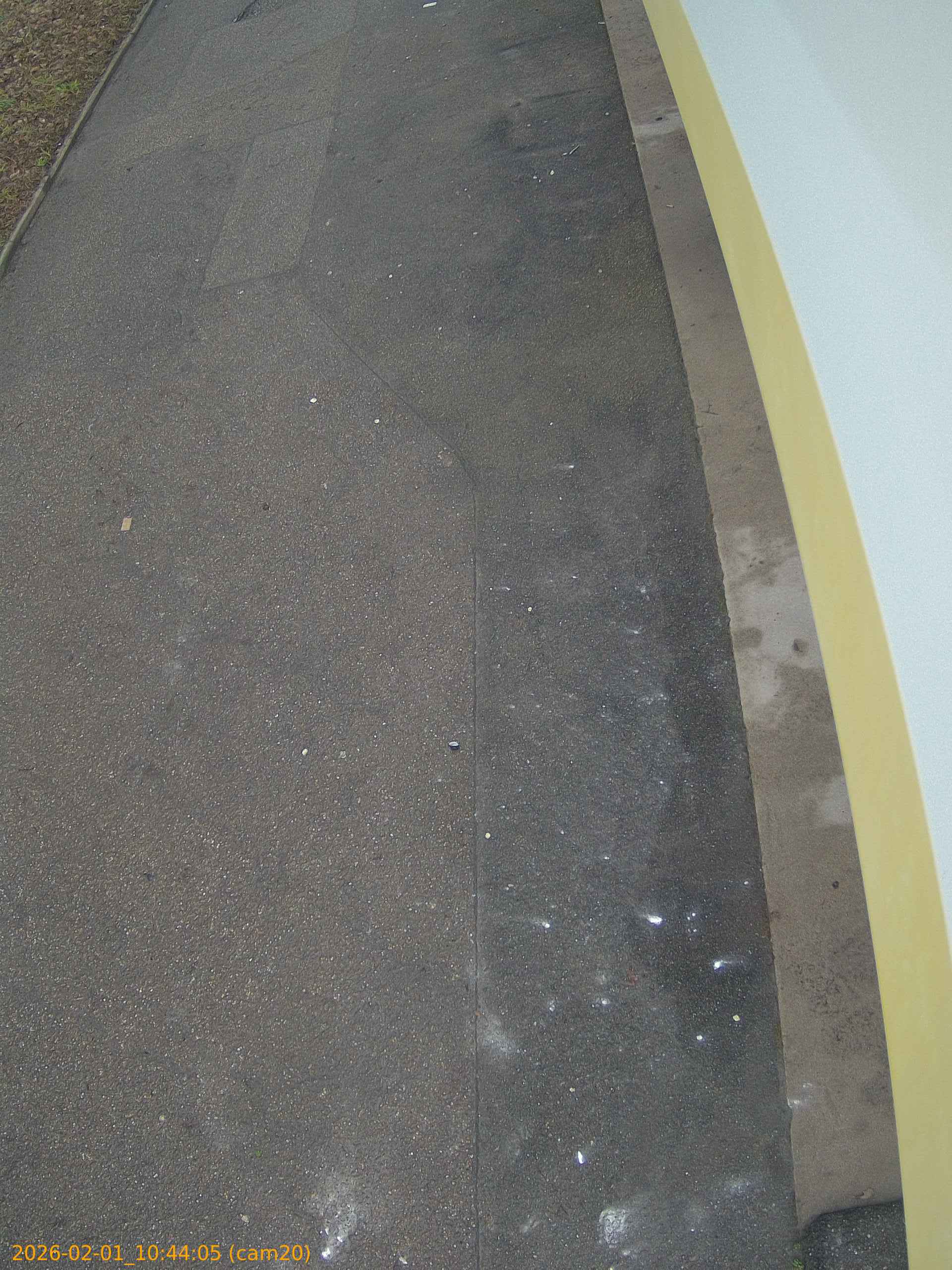 thumbnail_20260201104404