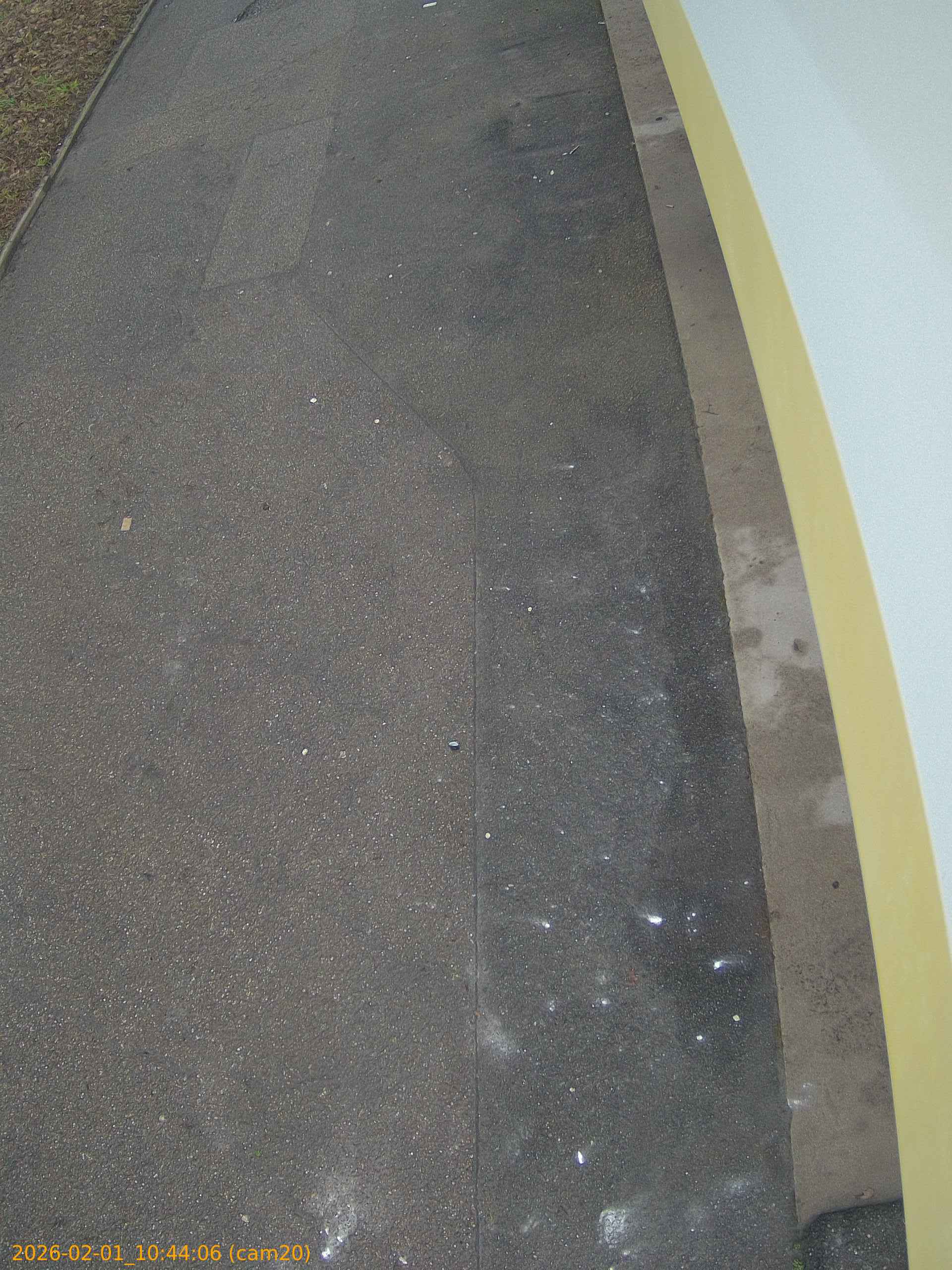 thumbnail_20260201104406