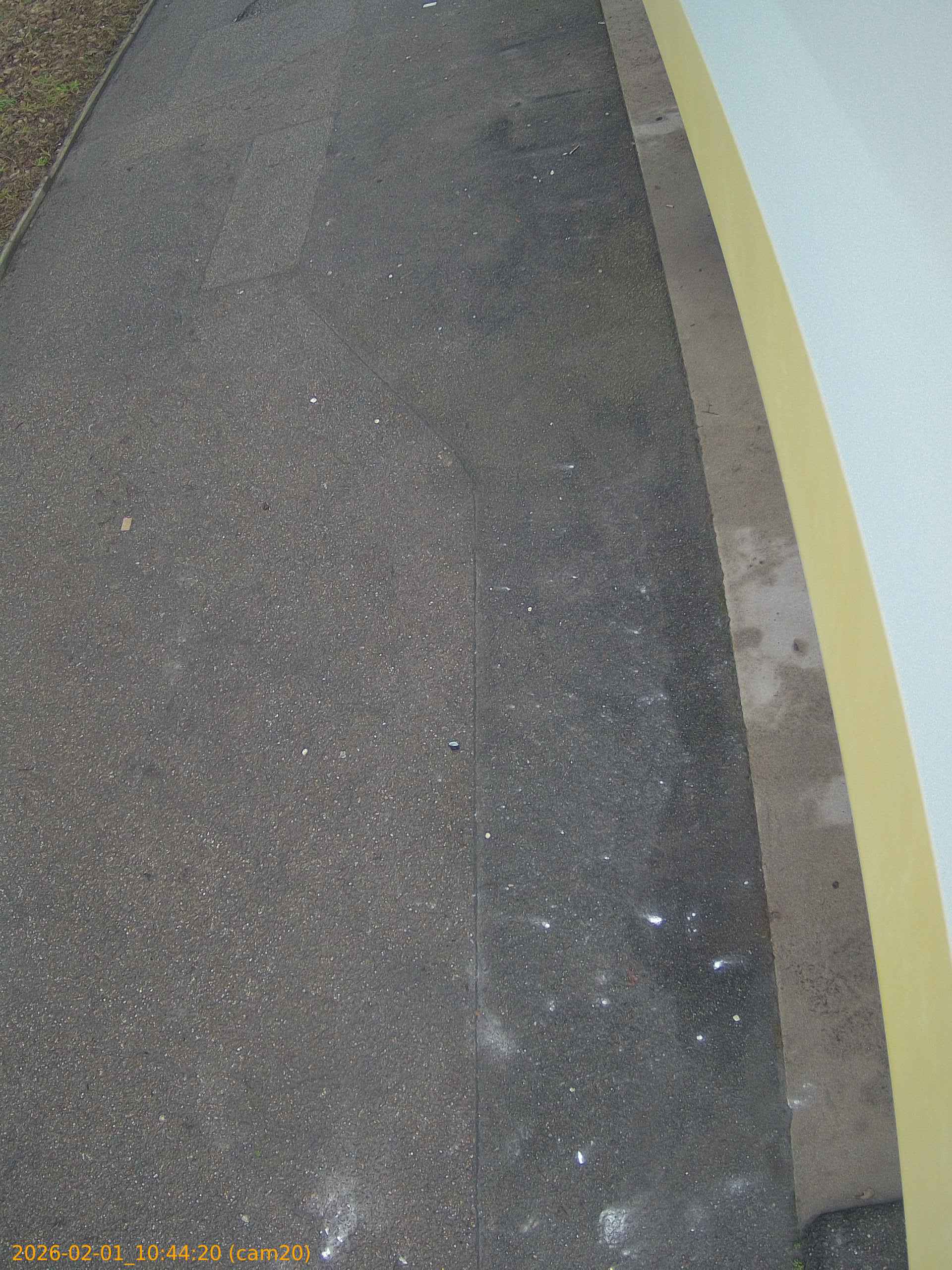 thumbnail_20260201104420