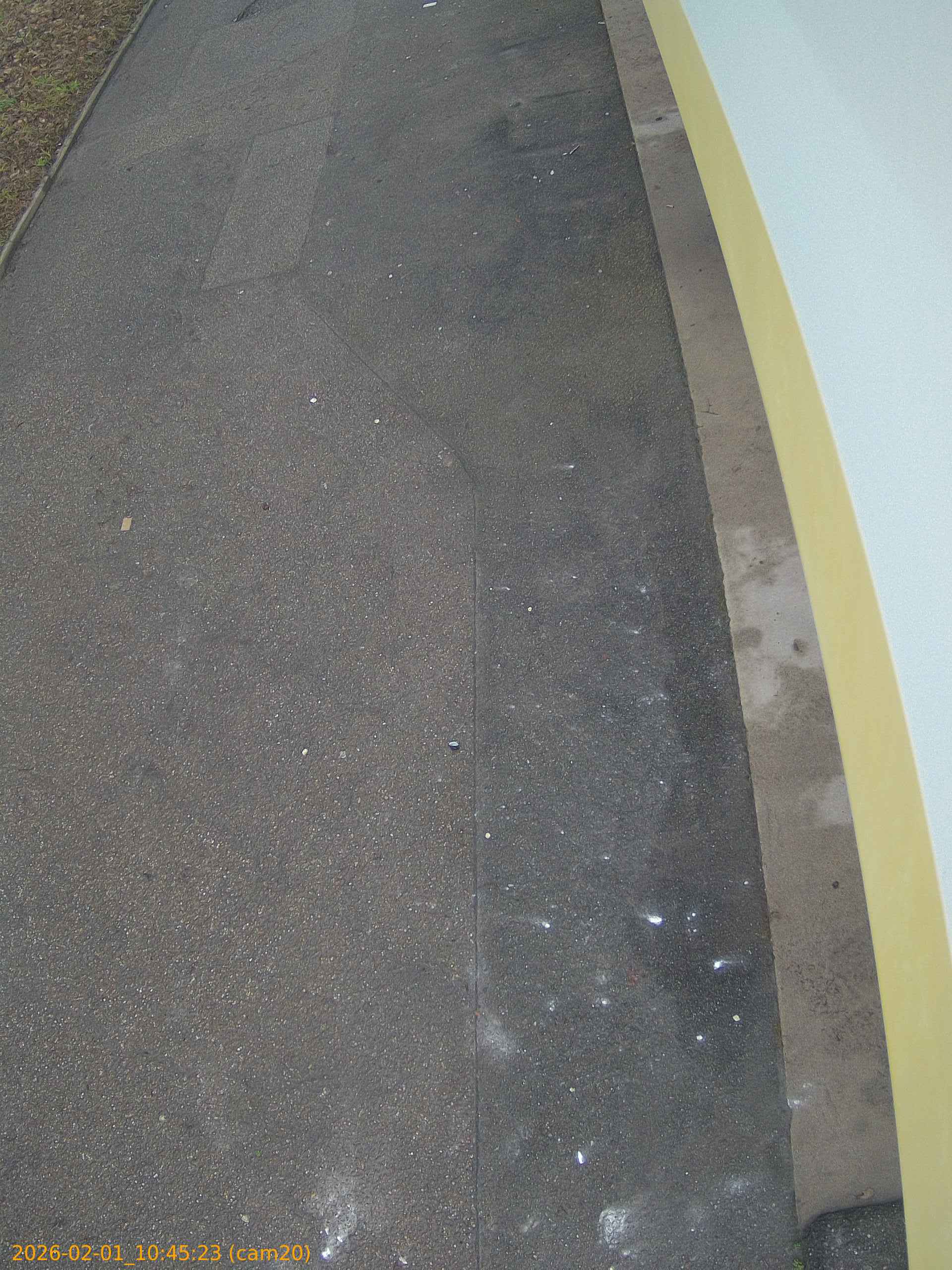 thumbnail_20260201104523