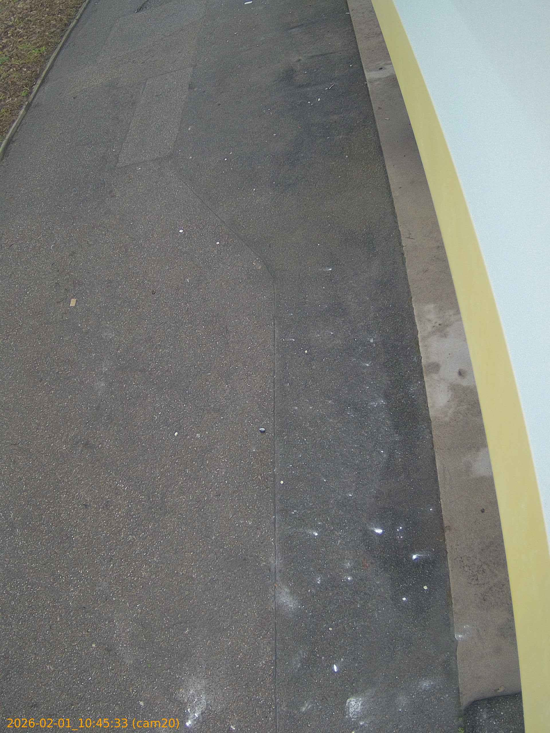 thumbnail_20260201104533