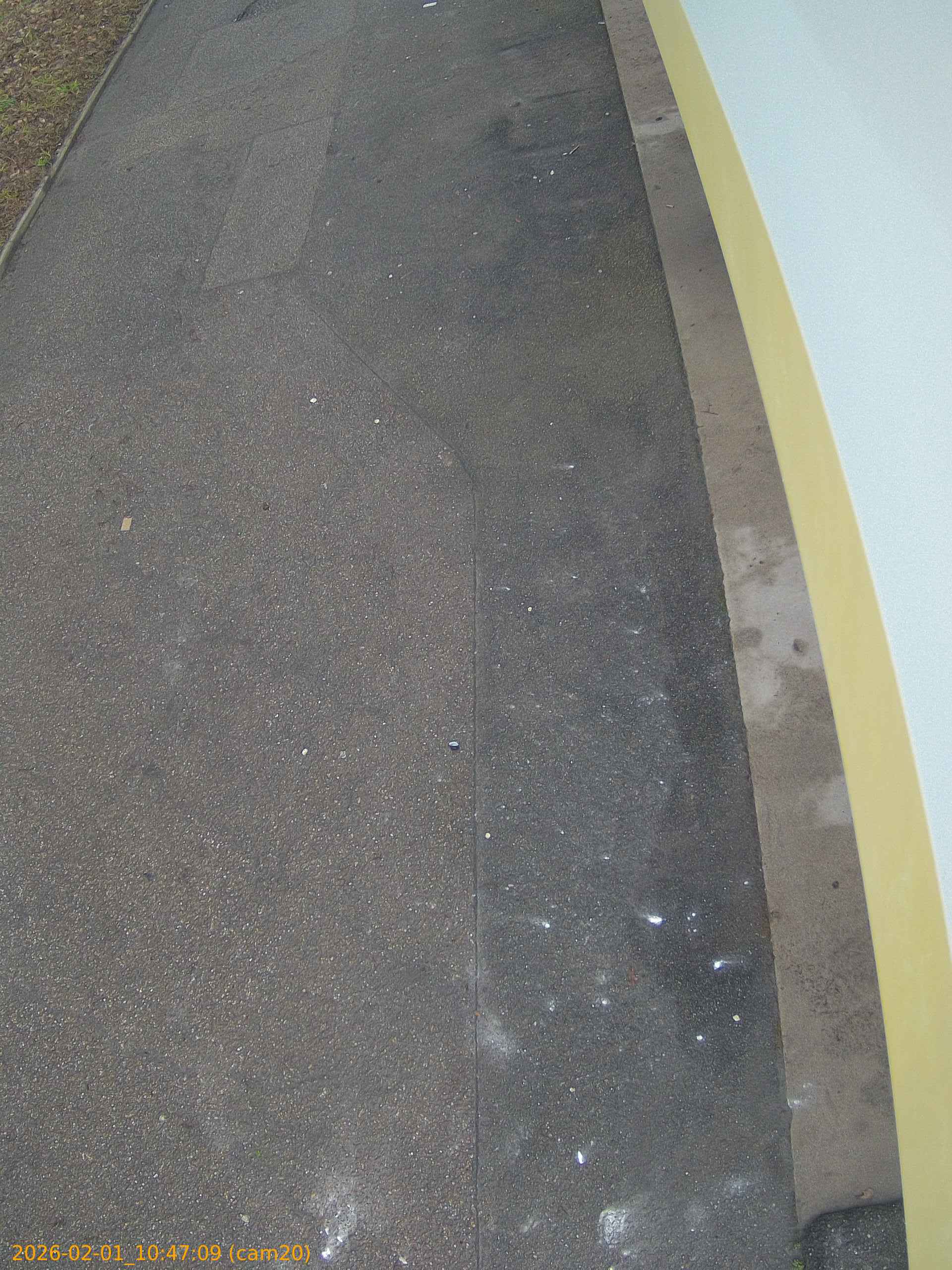 thumbnail_20260201104709