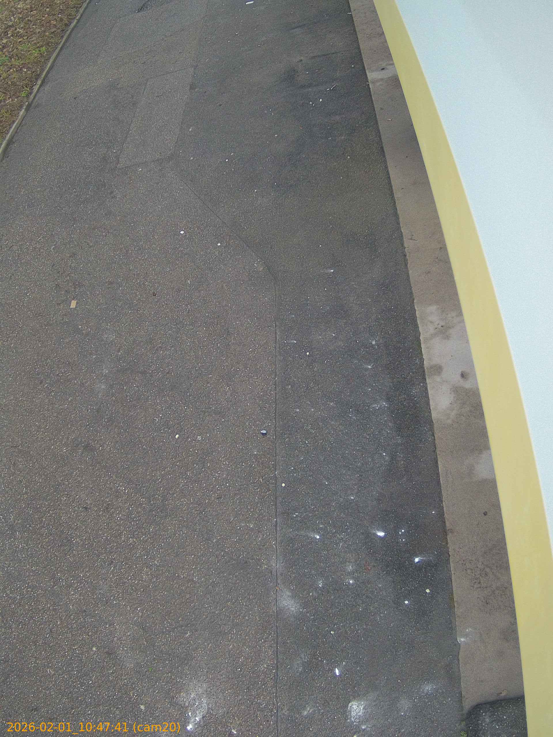 thumbnail_20260201104741