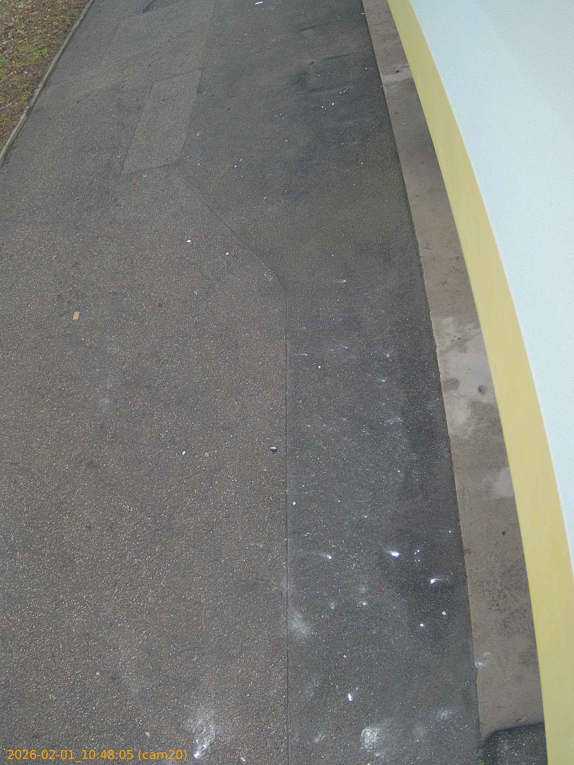 thumbnail_20260201104805