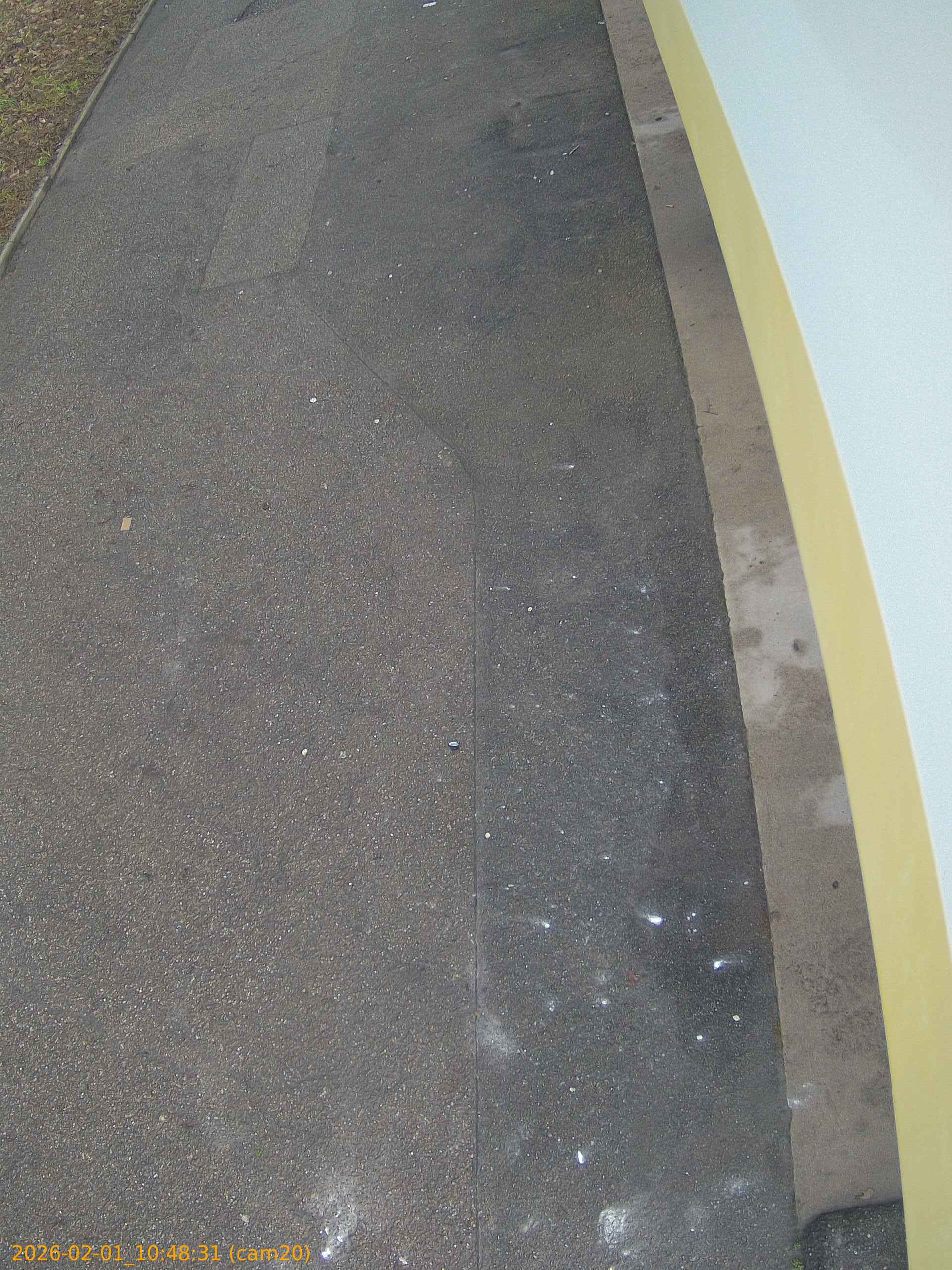 thumbnail_20260201104831