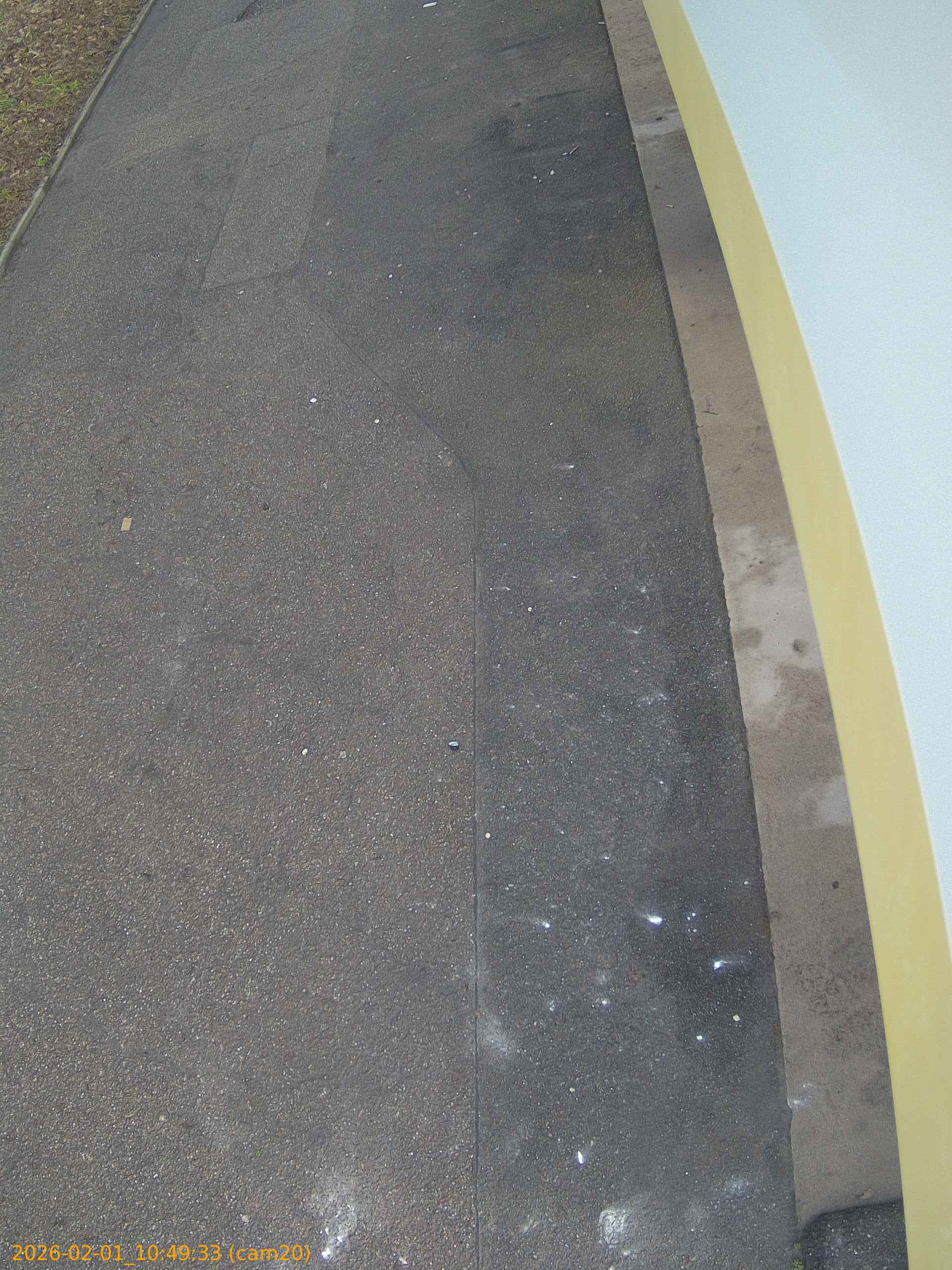 thumbnail_20260201104933