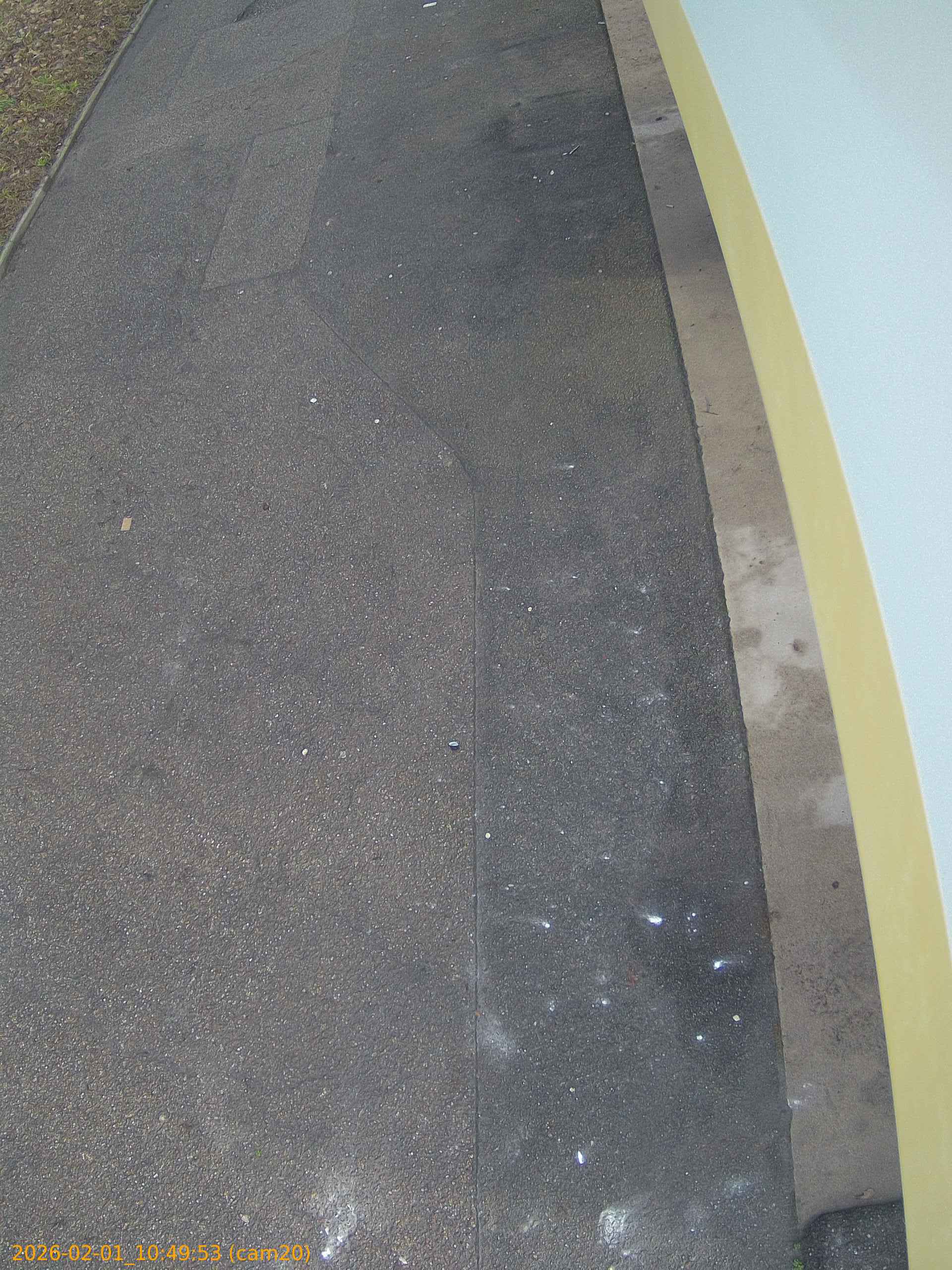 thumbnail_20260201104953