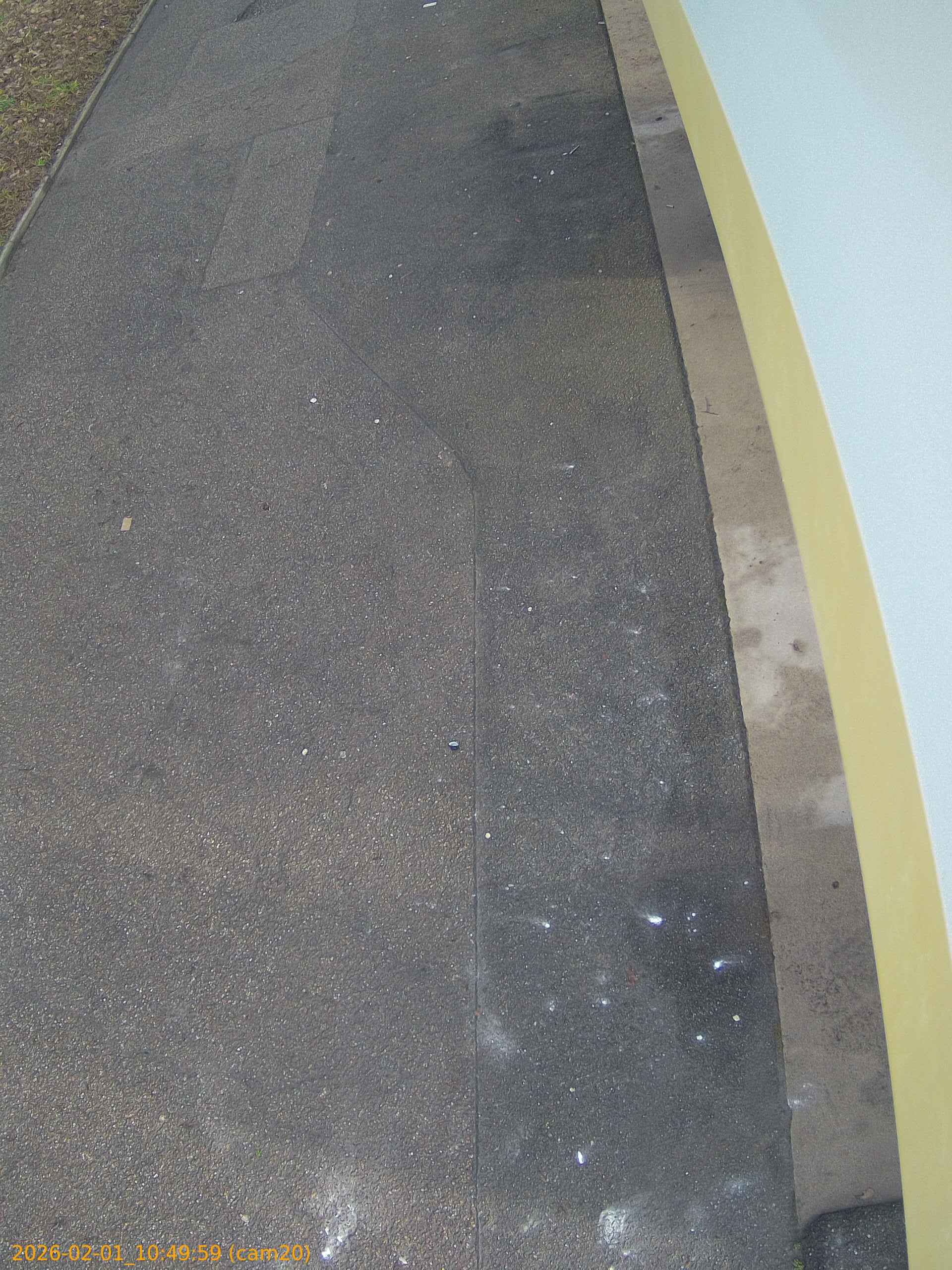 thumbnail_20260201104959