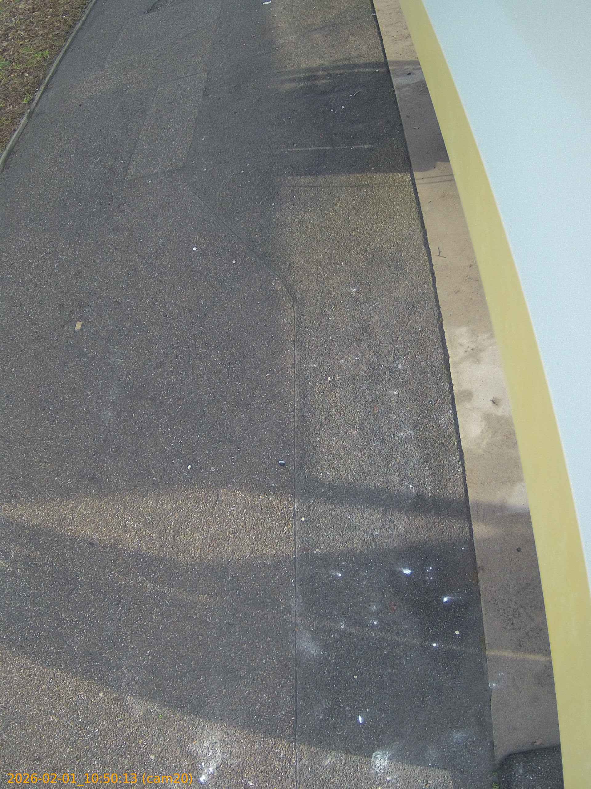 thumbnail_20260201105013