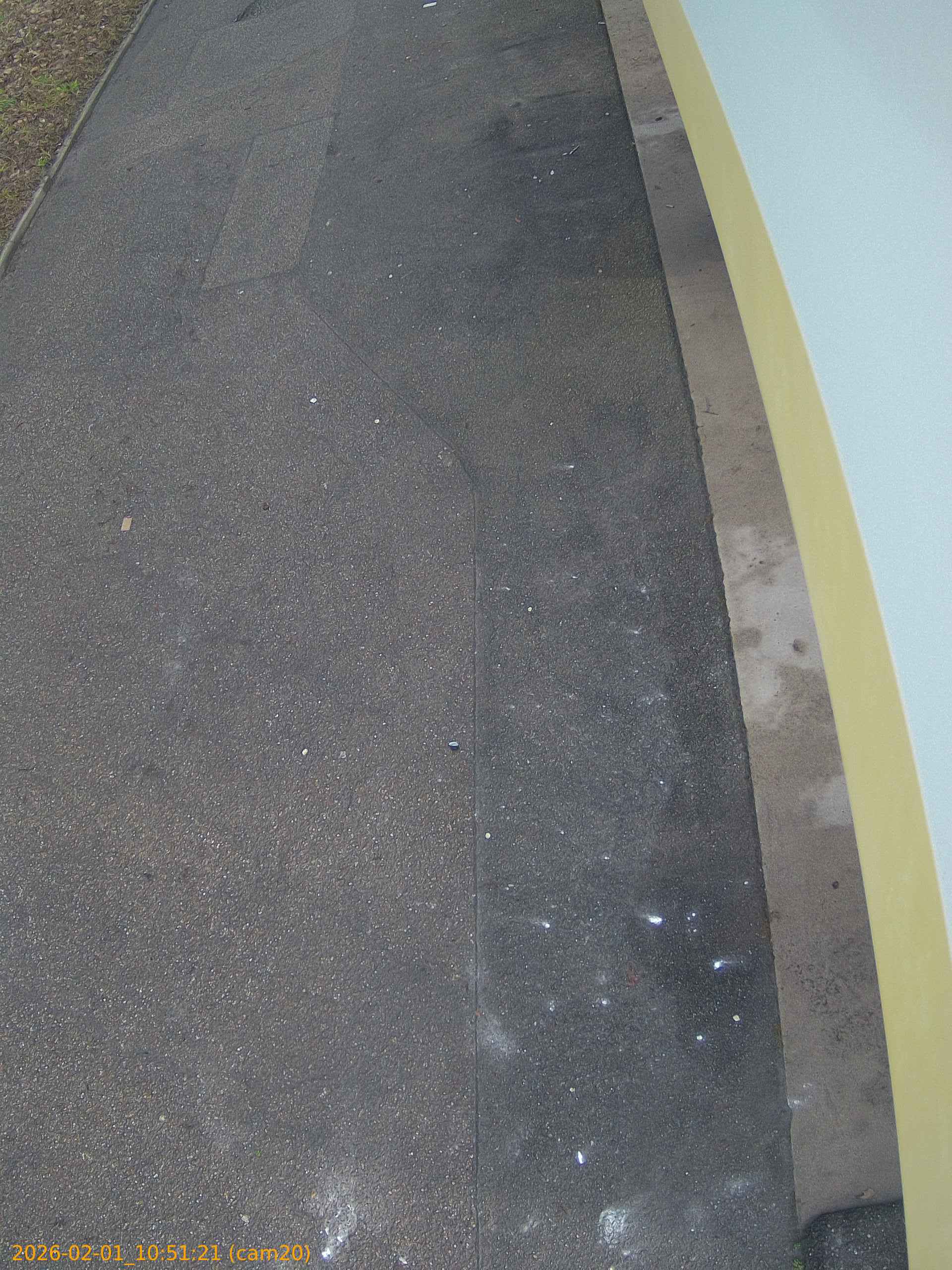 thumbnail_20260201105121