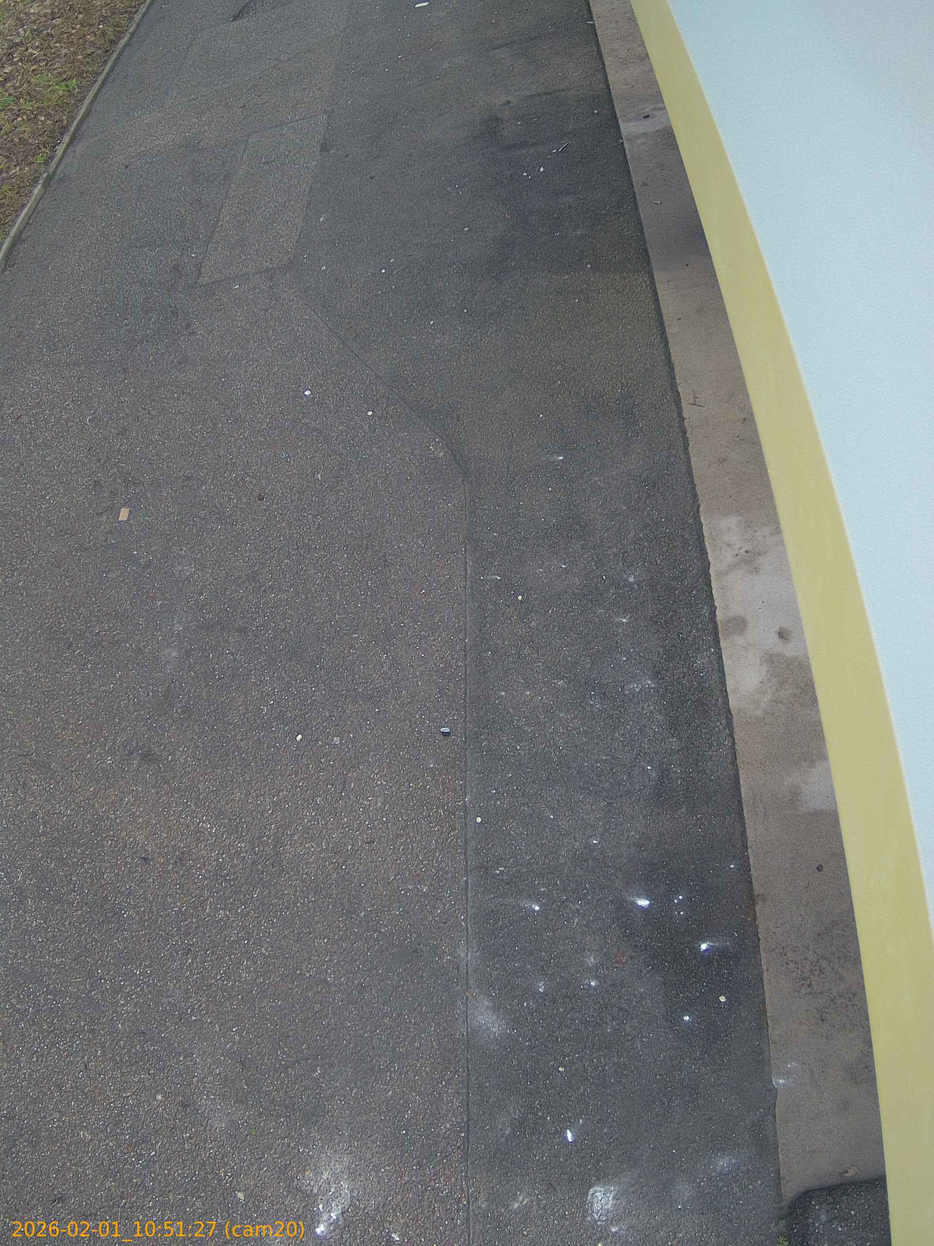 thumbnail_20260201105127