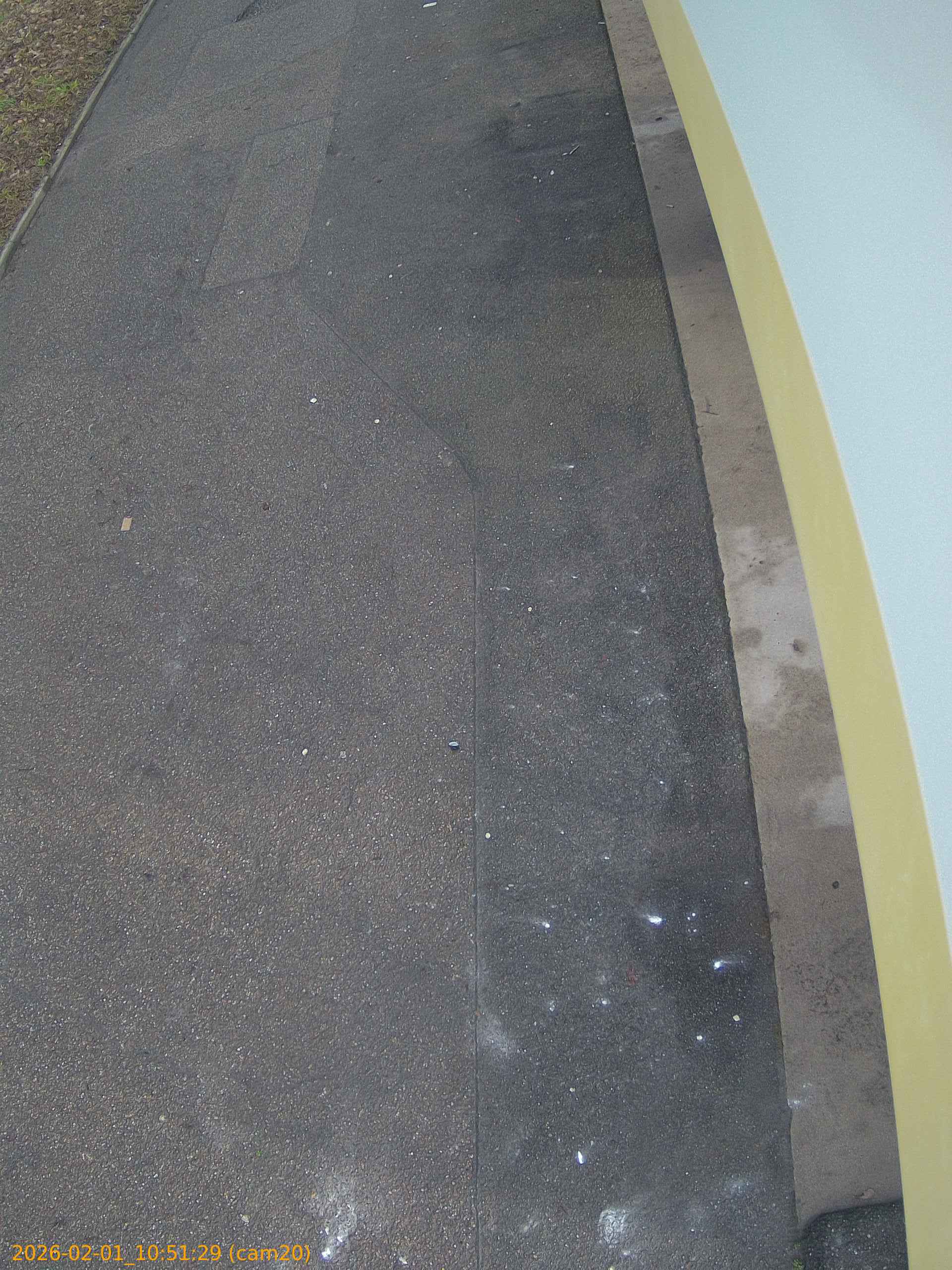 thumbnail_20260201105129