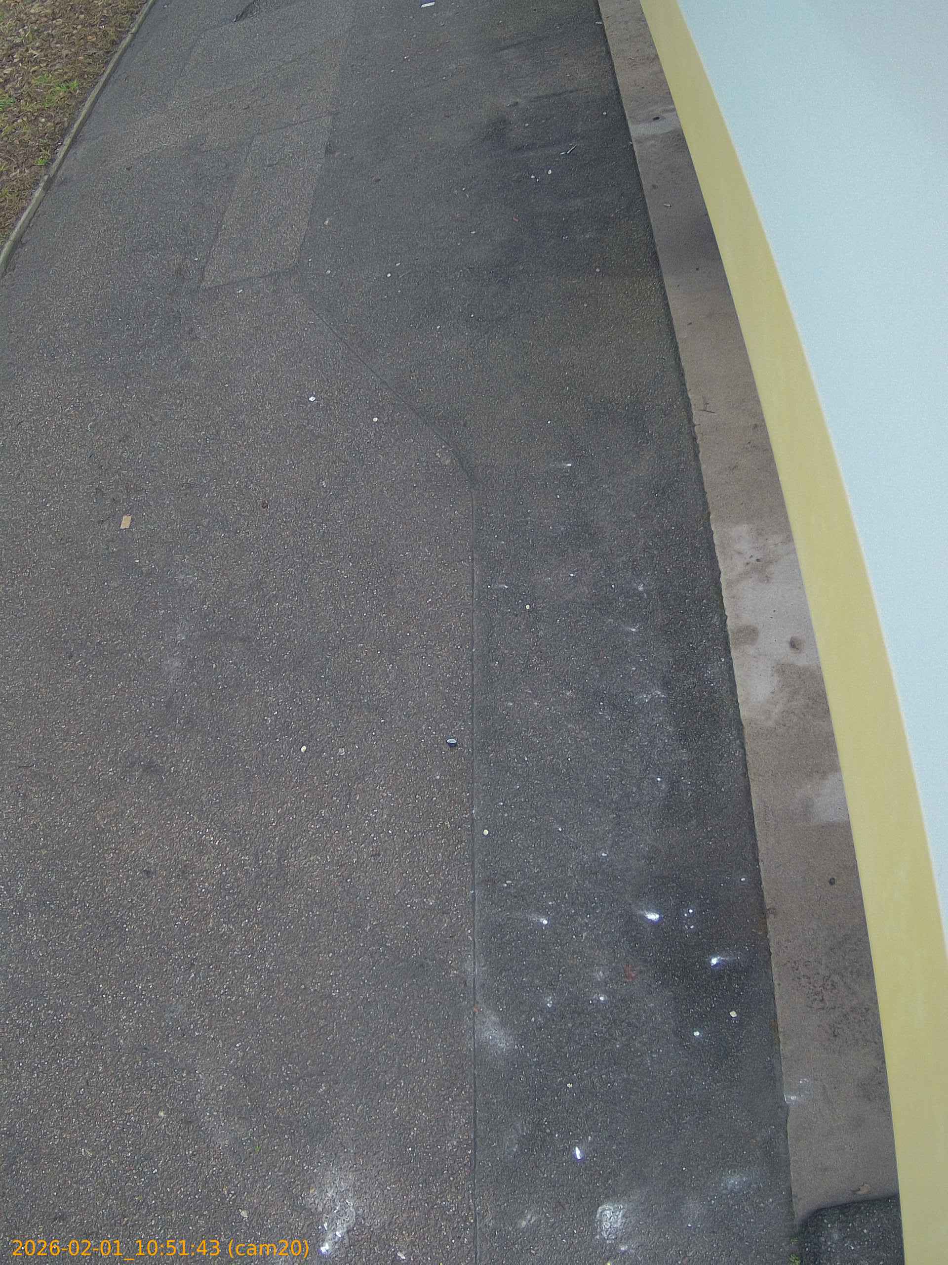 thumbnail_20260201105143