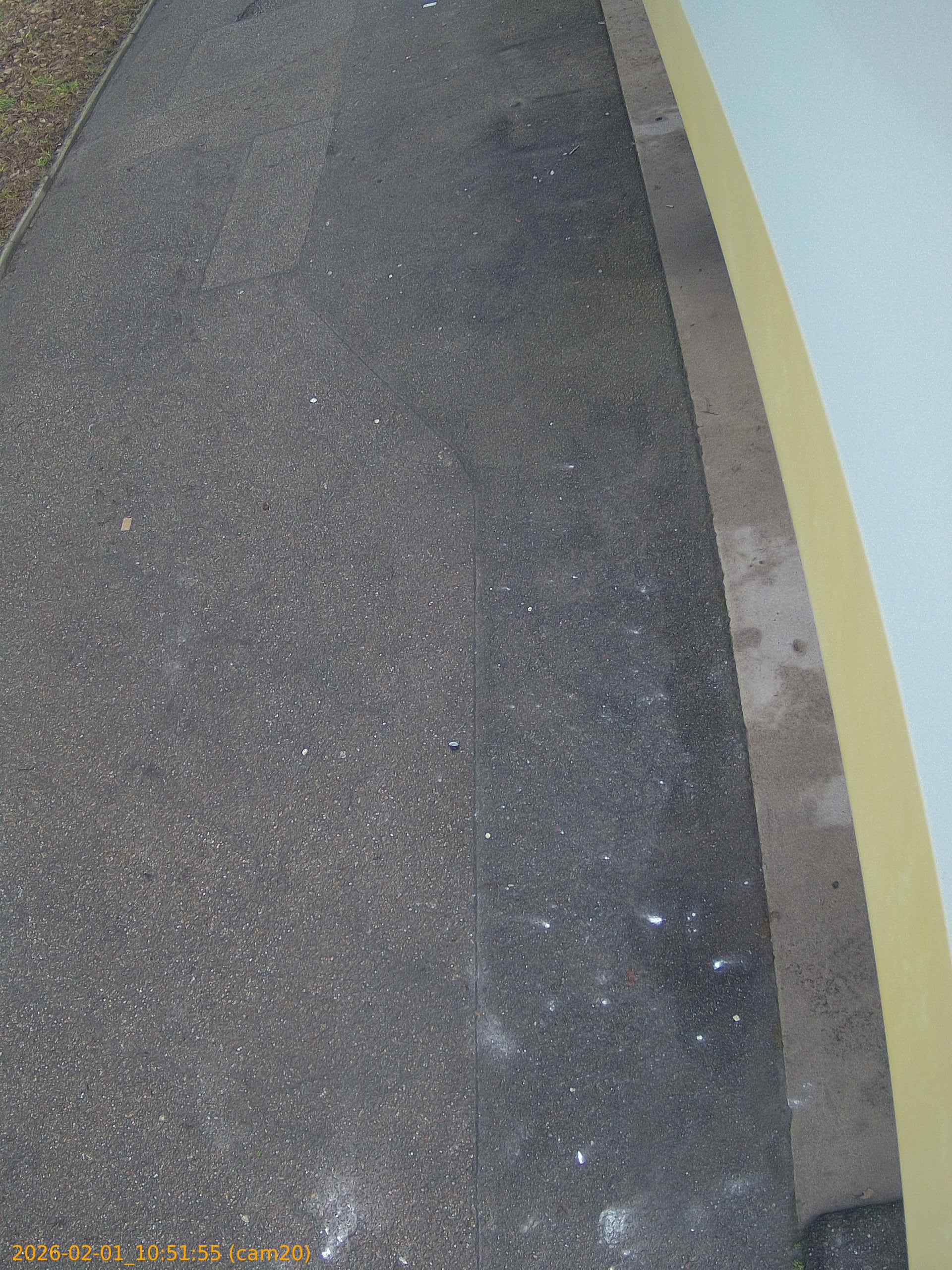 thumbnail_20260201105155