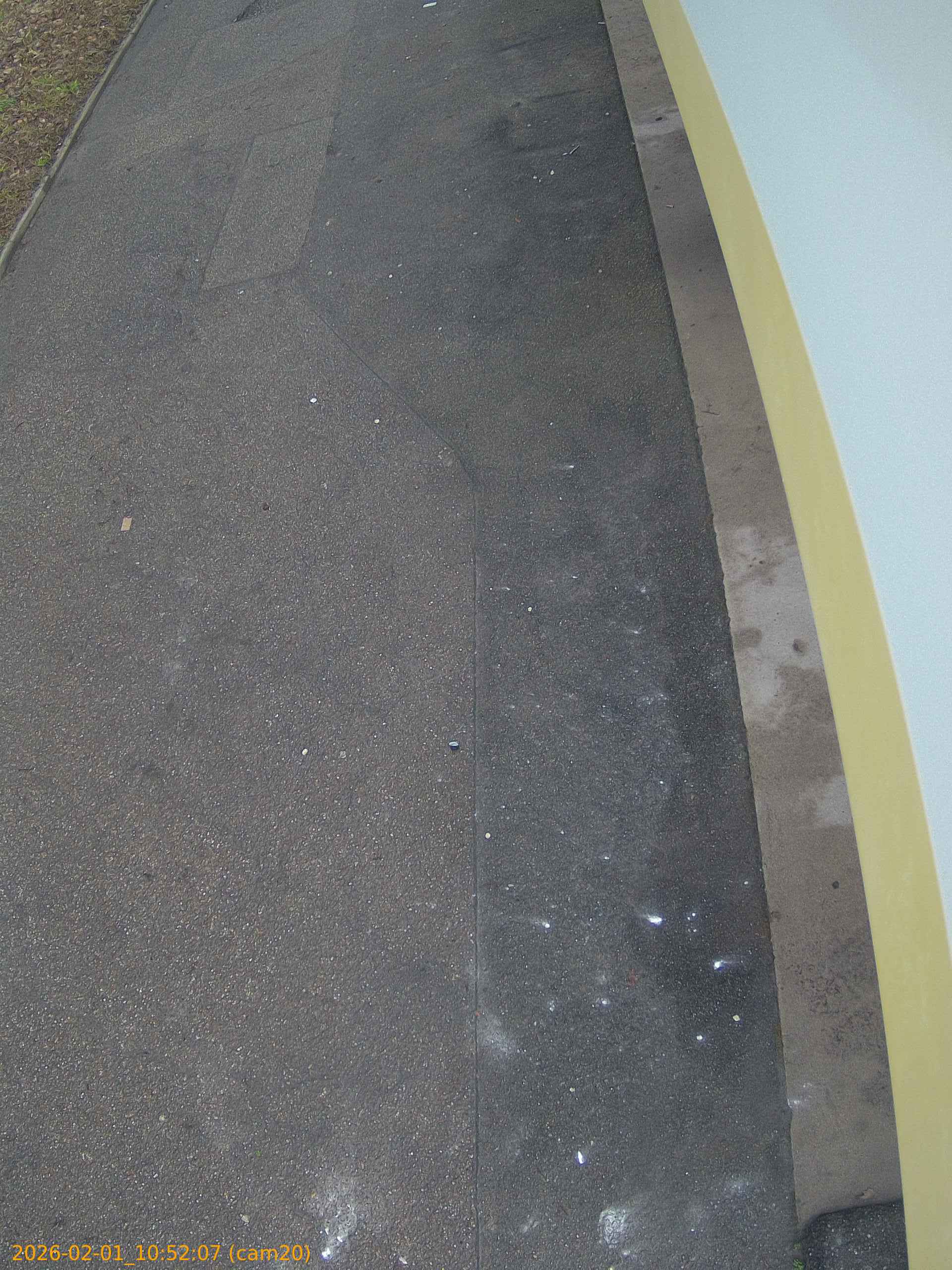 thumbnail_20260201105207