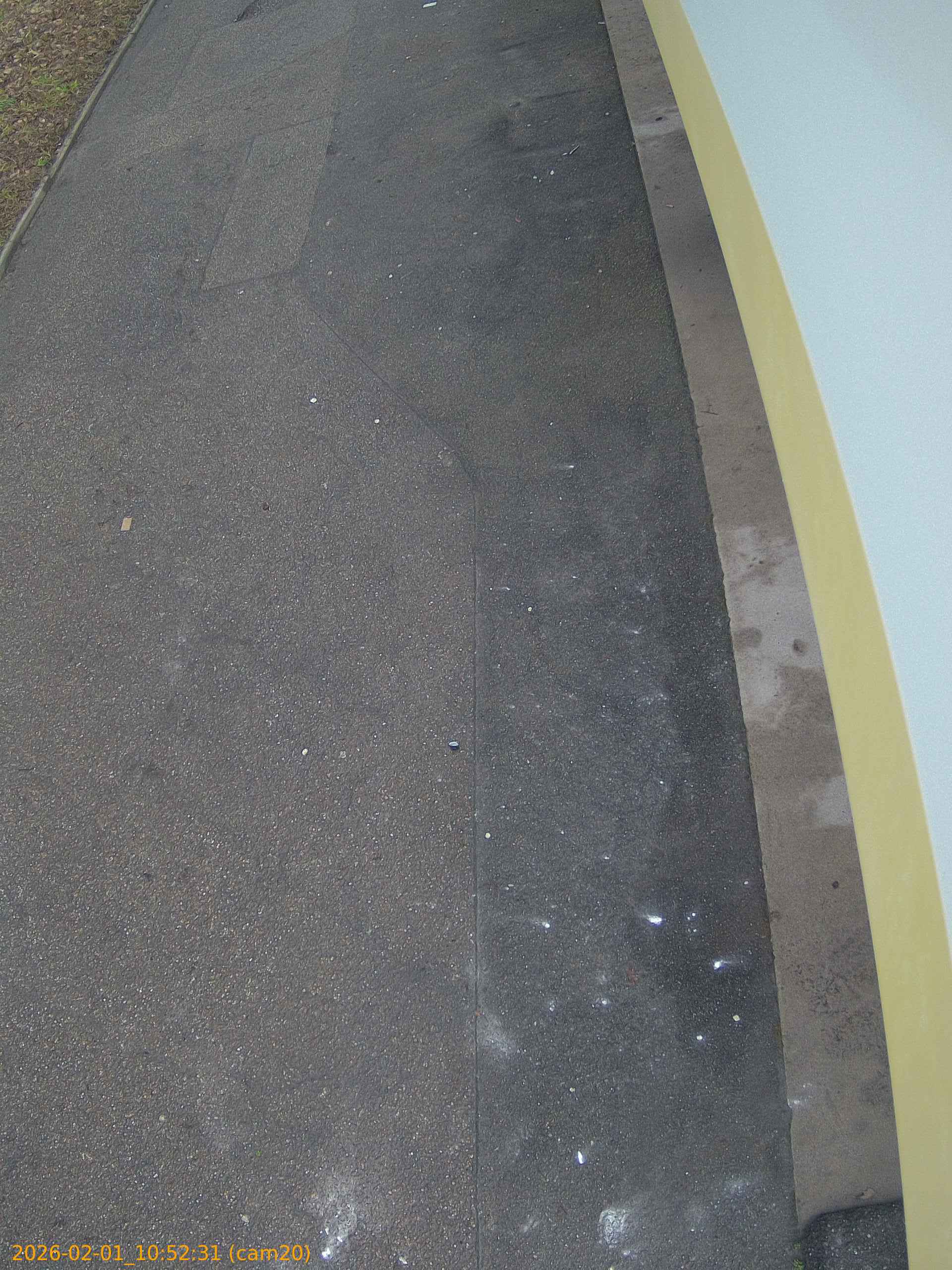 thumbnail_20260201105231