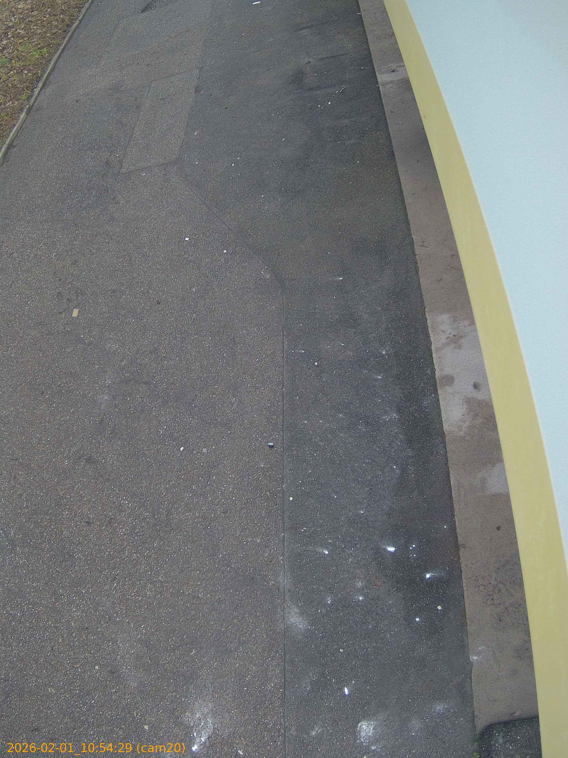 thumbnail_20260201105429