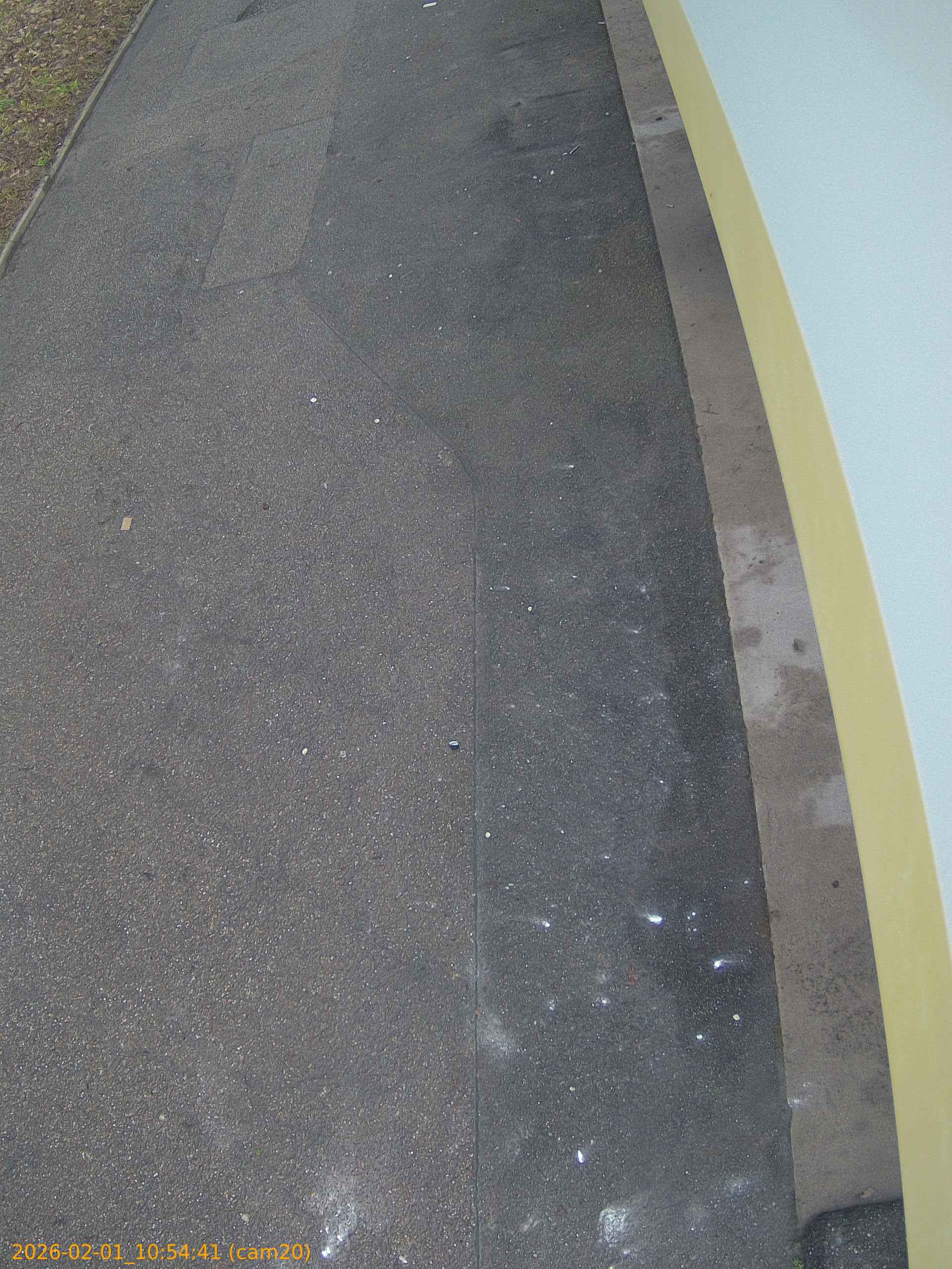 thumbnail_20260201105441