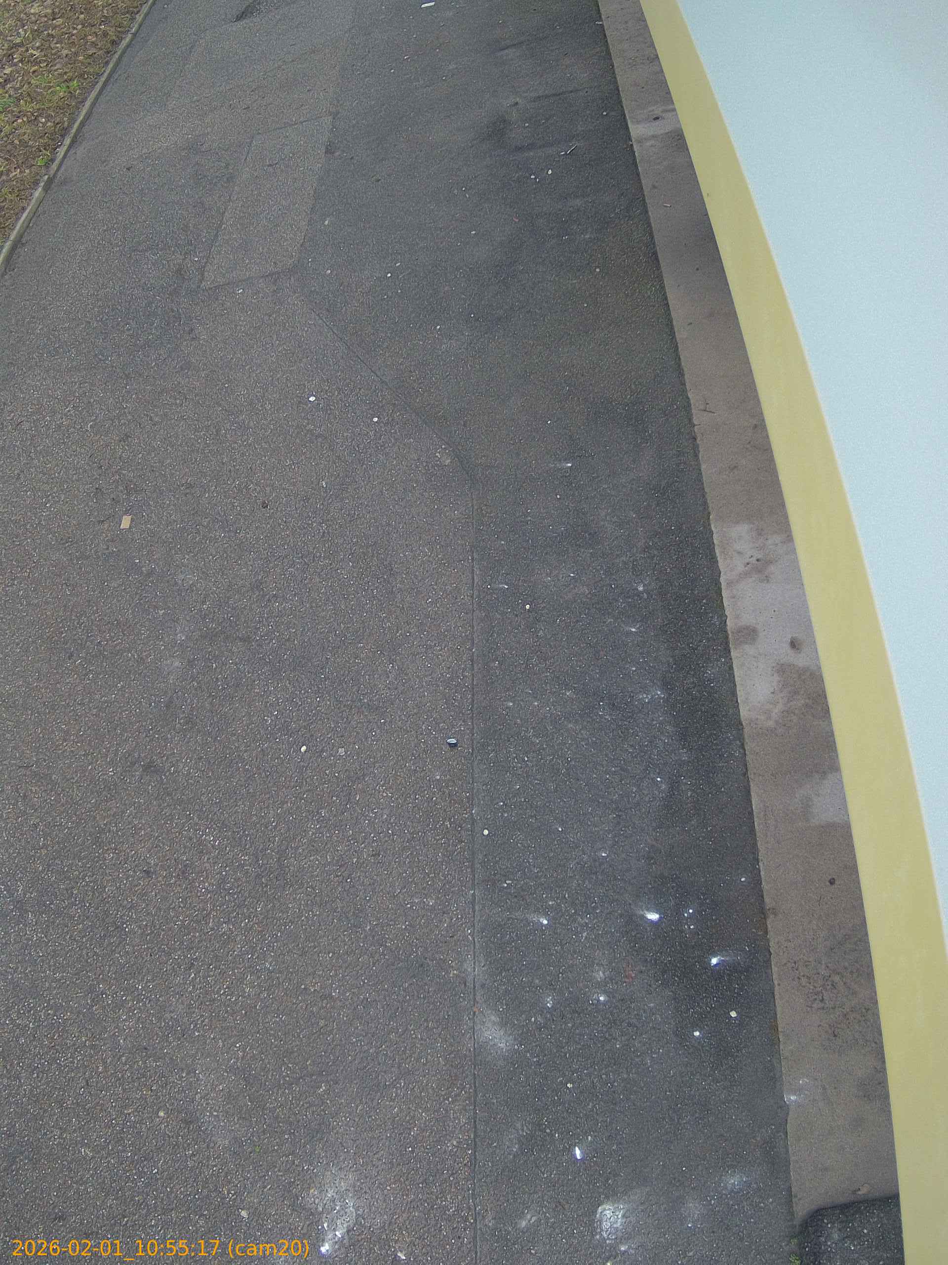 thumbnail_20260201105517