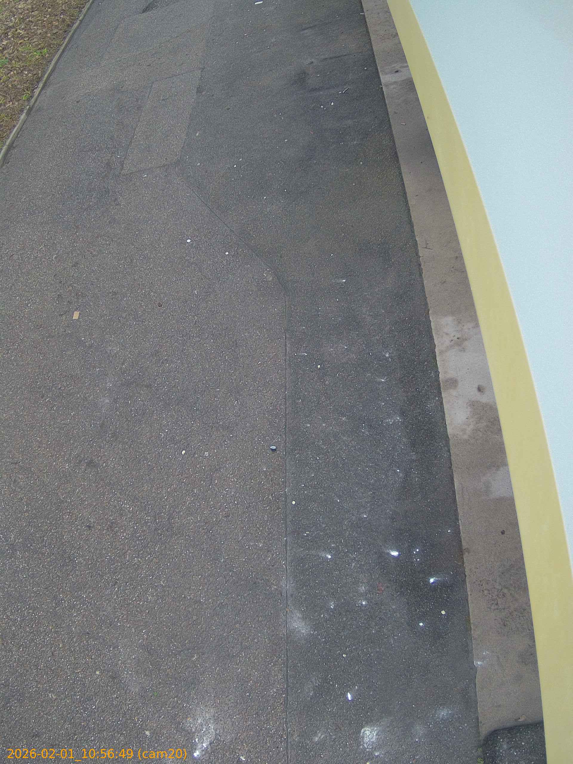 thumbnail_20260201105649