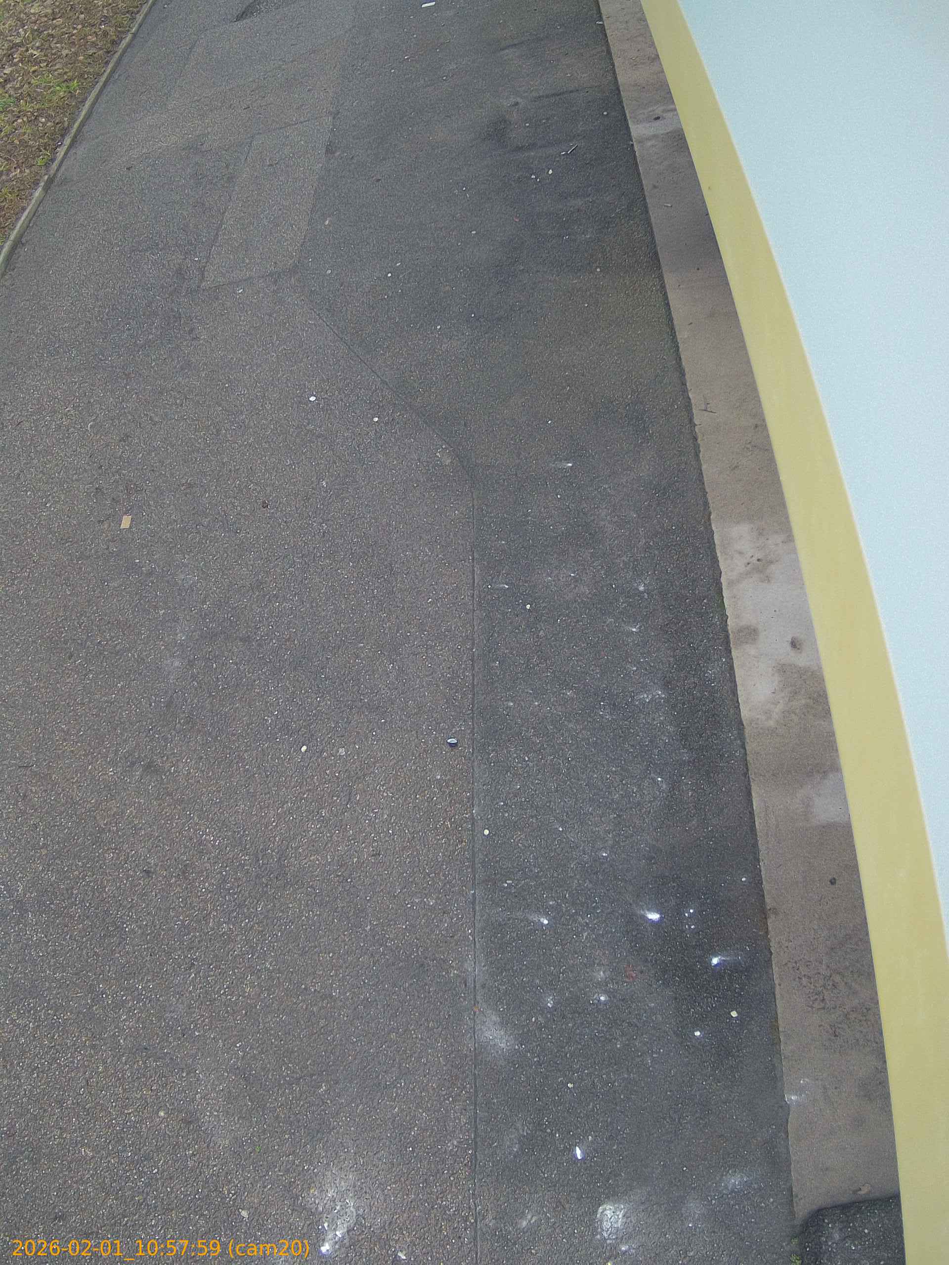 thumbnail_20260201105759