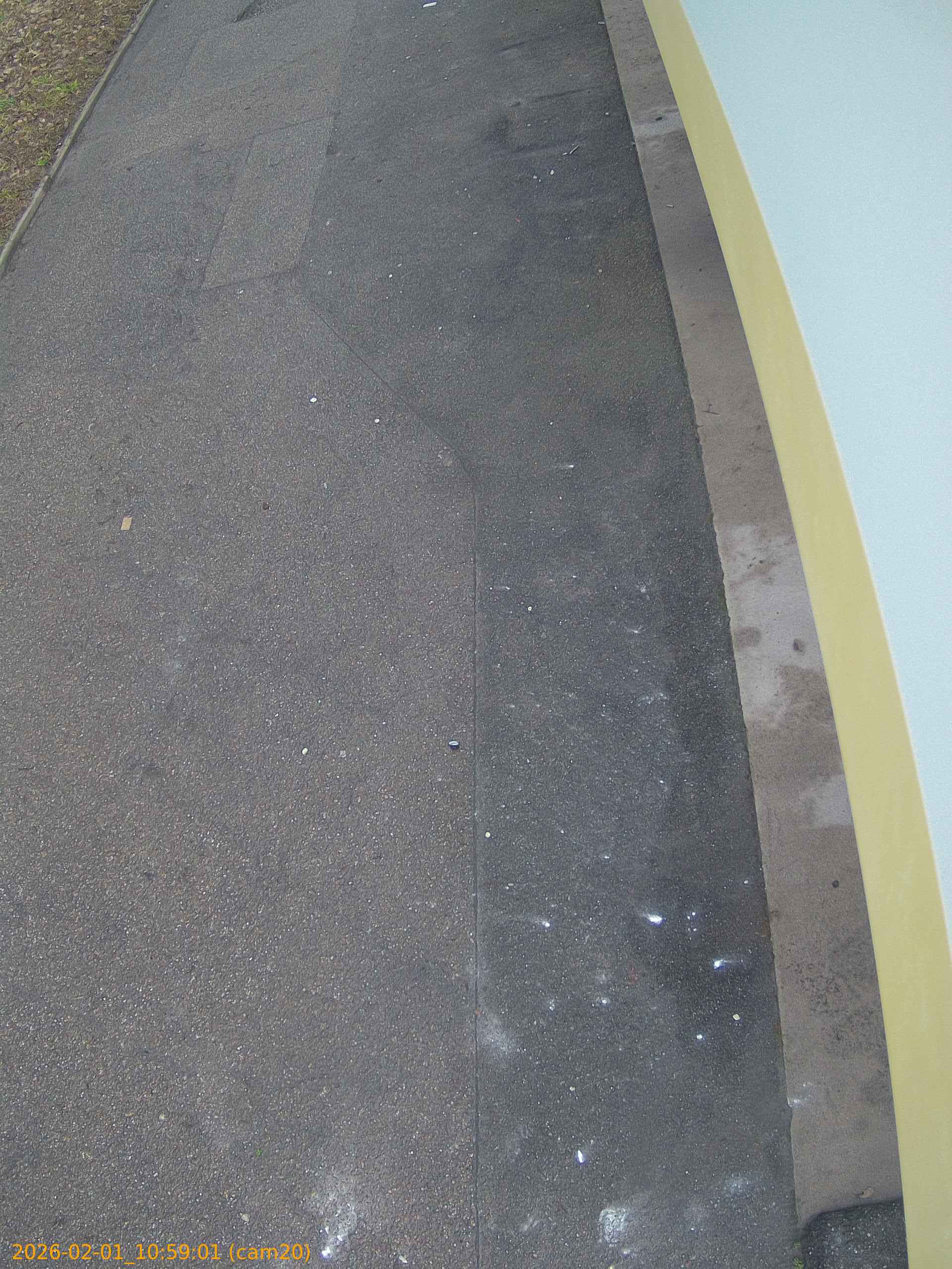 thumbnail_20260201105901