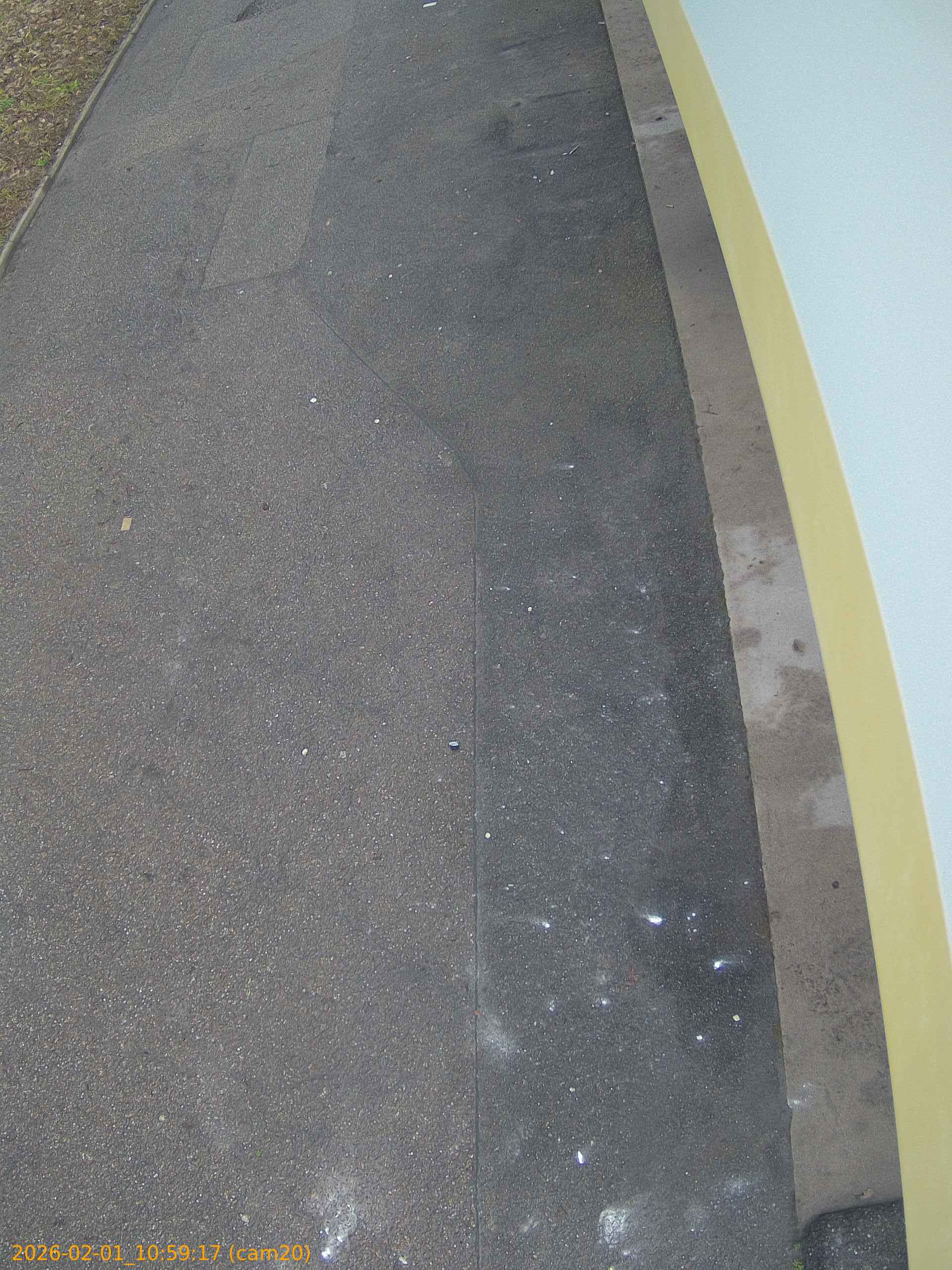 thumbnail_20260201105917