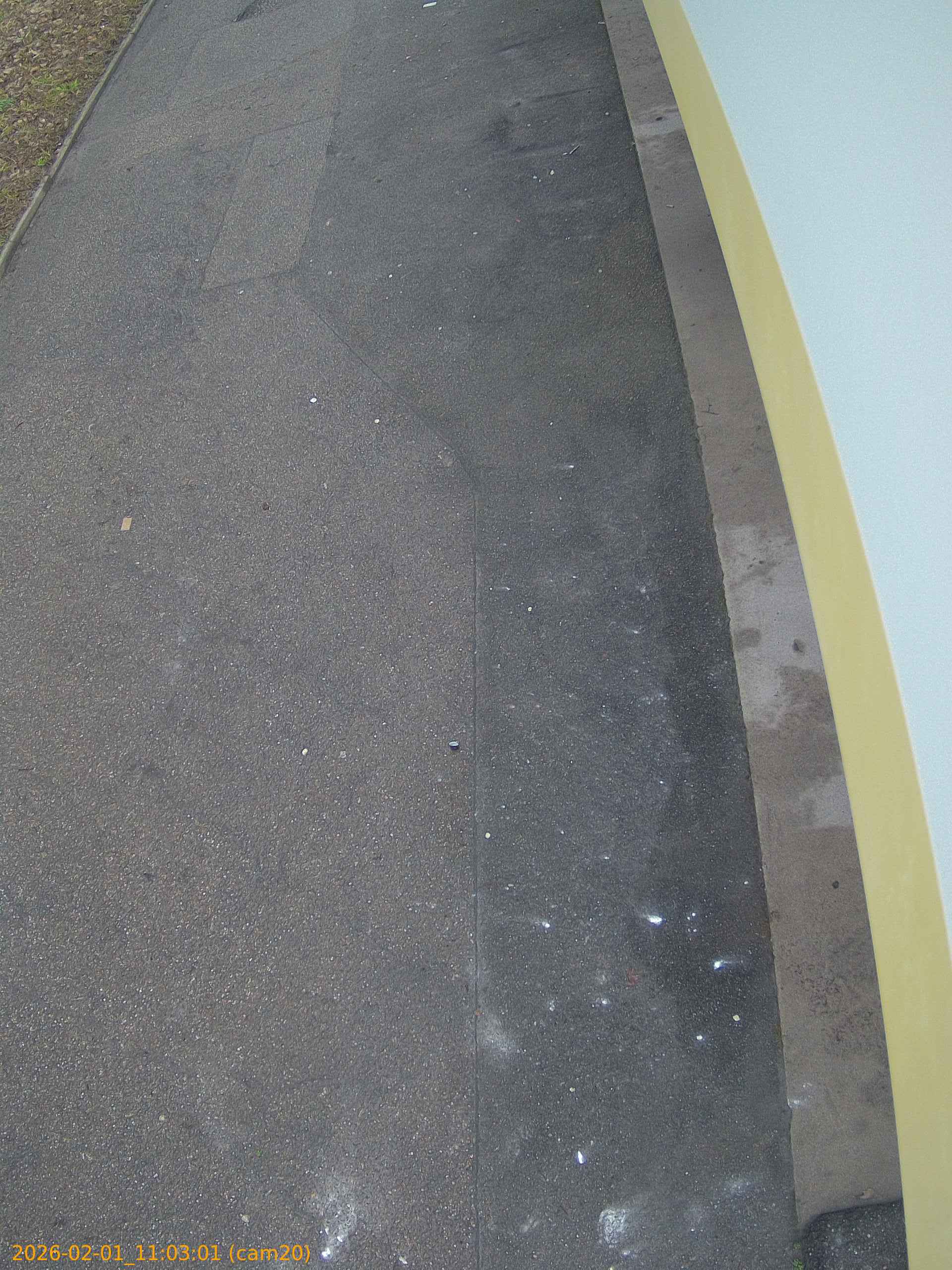 thumbnail_20260201110301