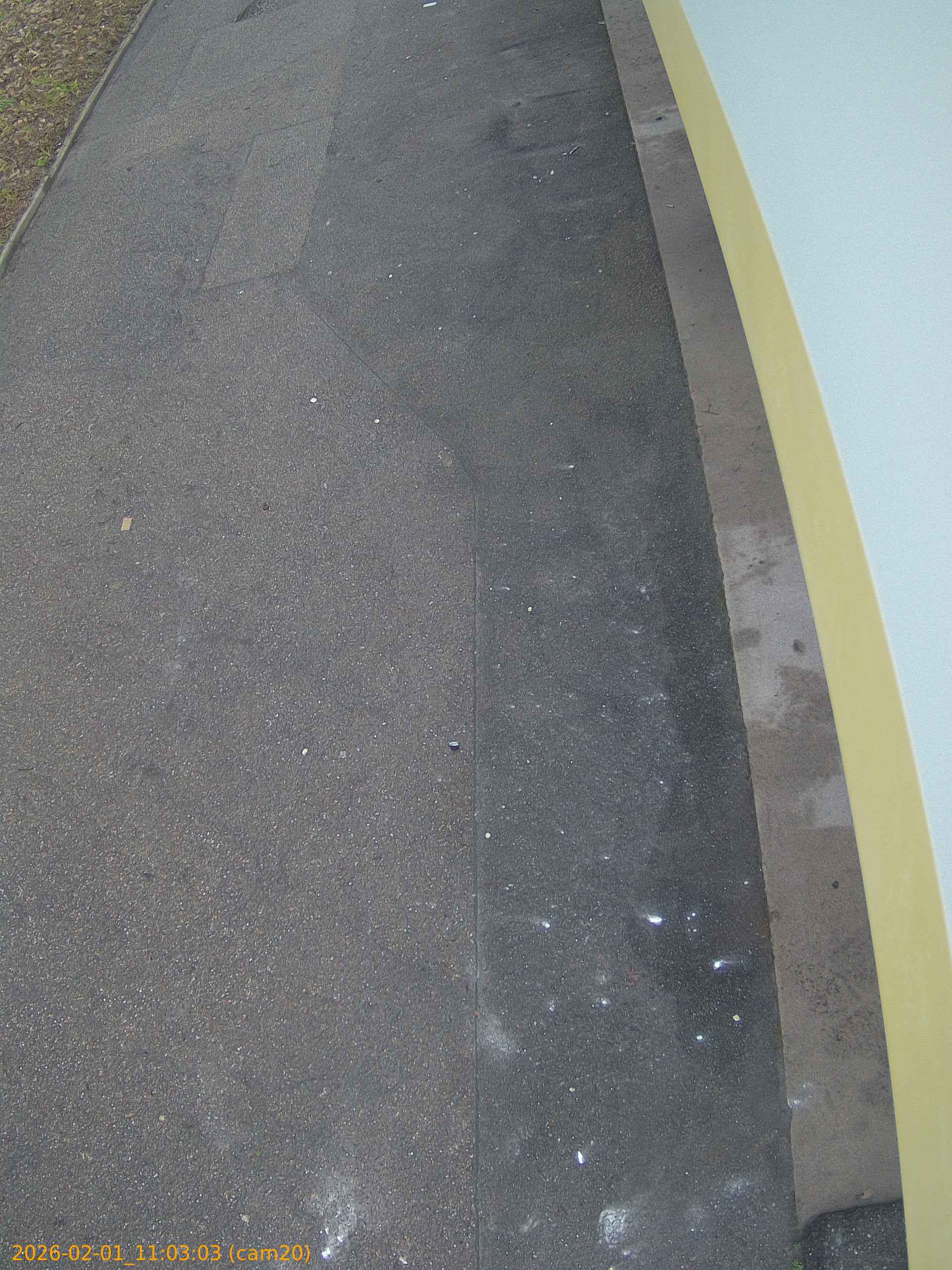 thumbnail_20260201110303