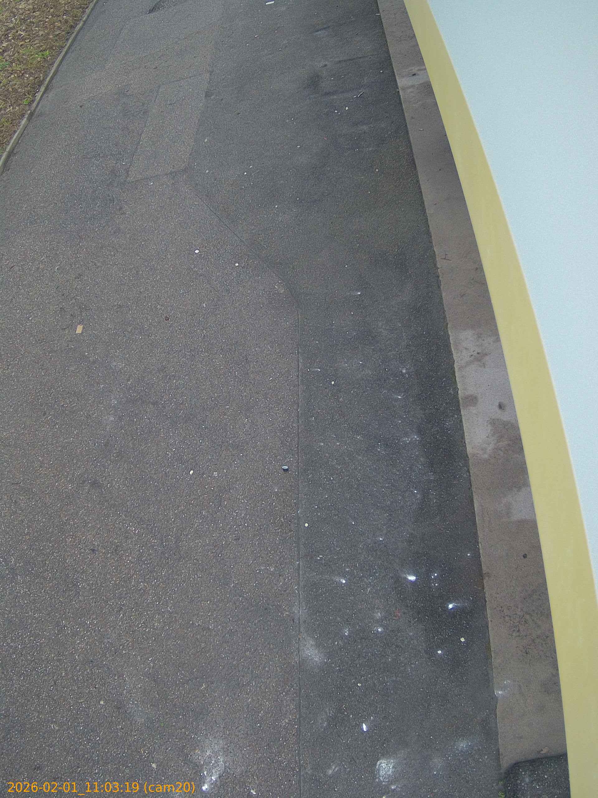 thumbnail_20260201110319