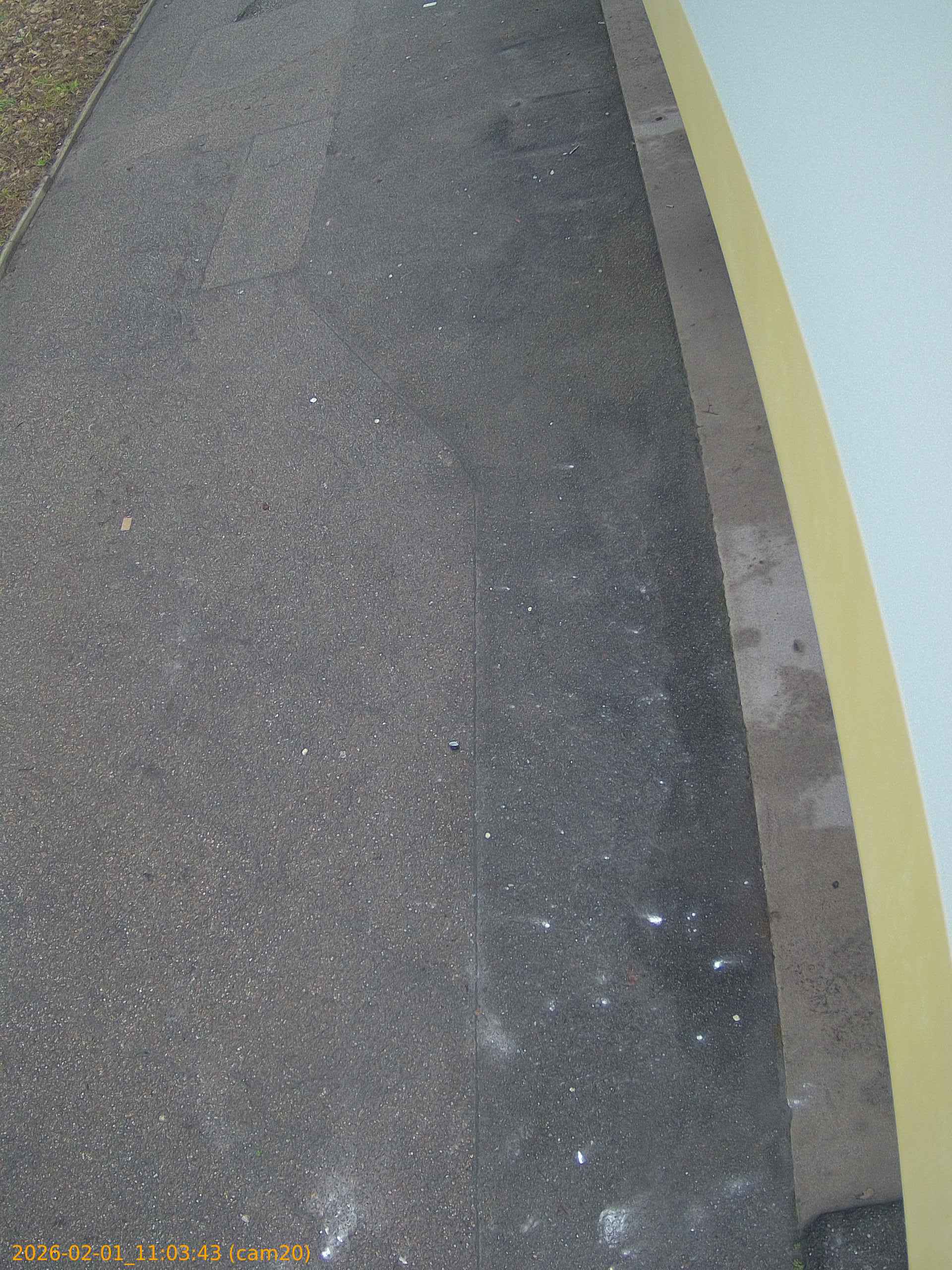 thumbnail_20260201110343