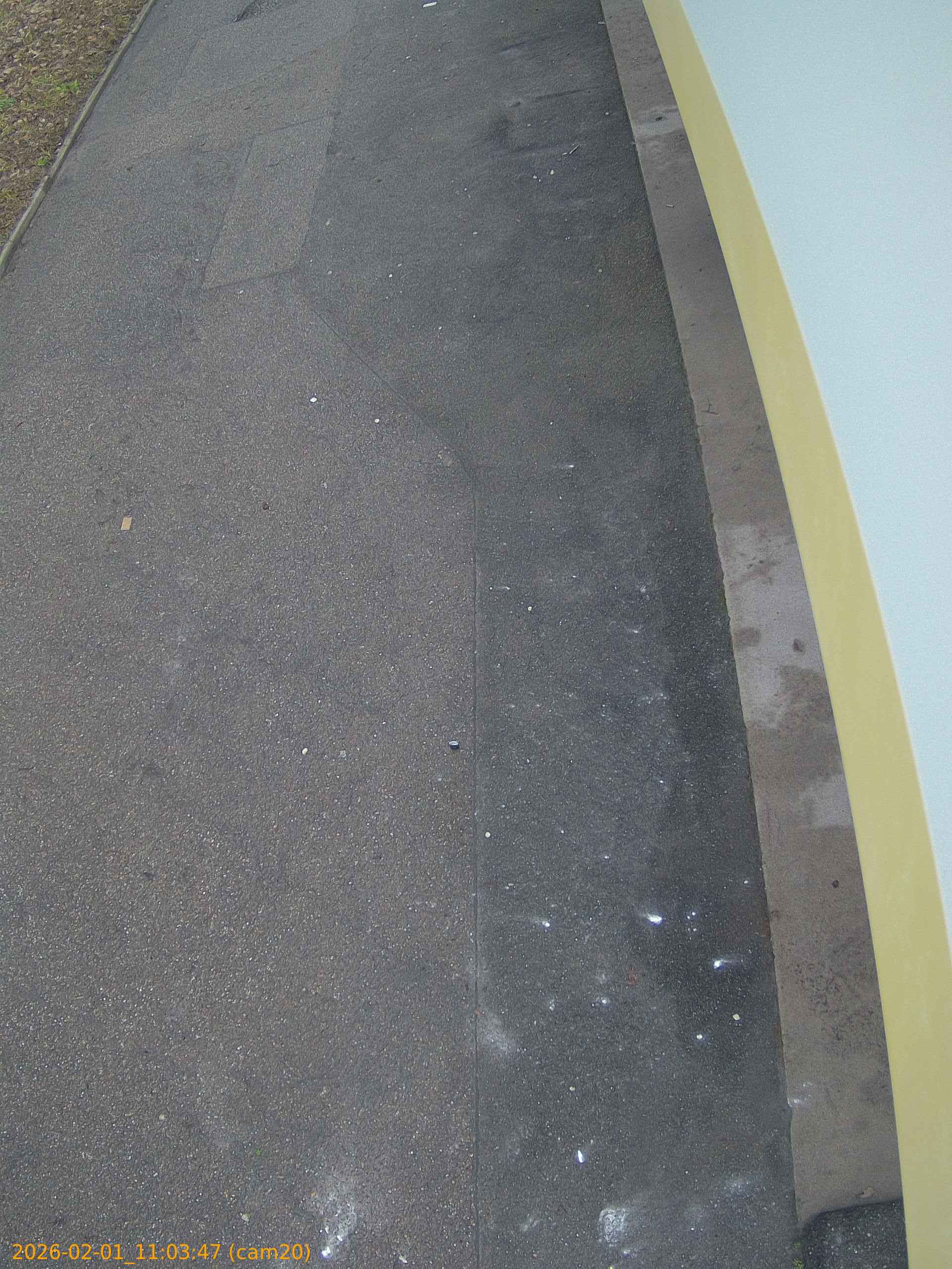 thumbnail_20260201110347