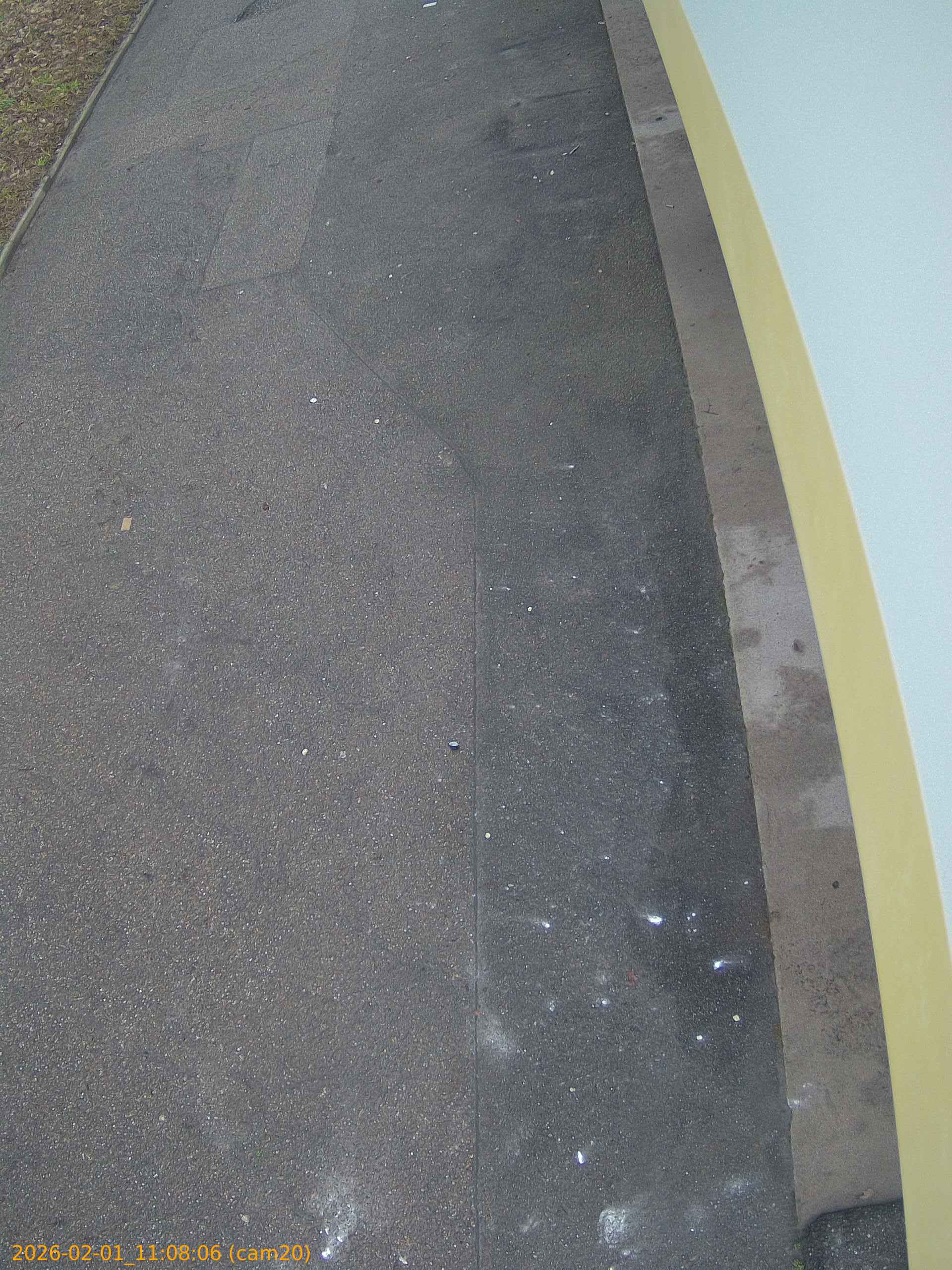 thumbnail_20260201110806