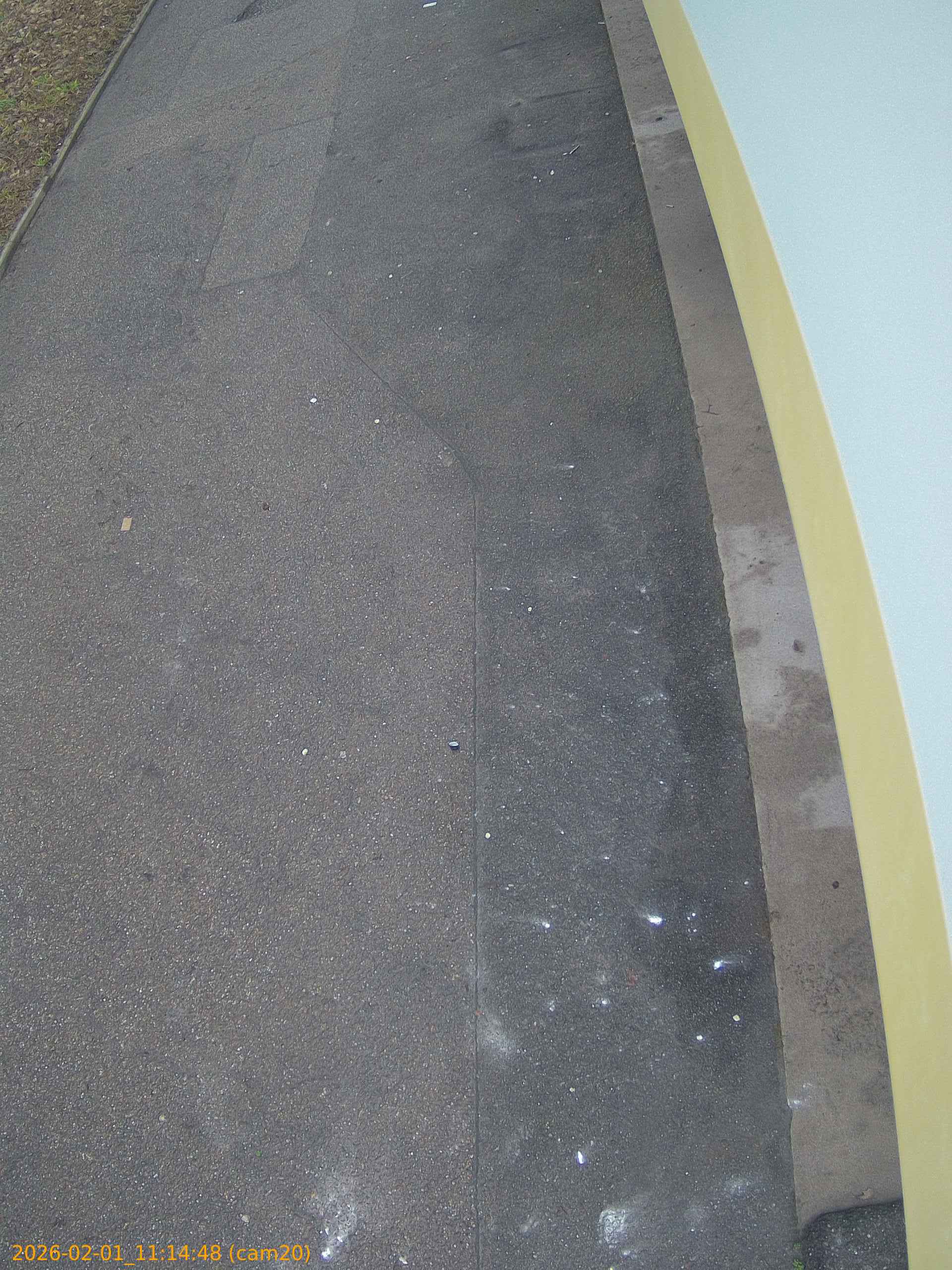 thumbnail_20260201111448