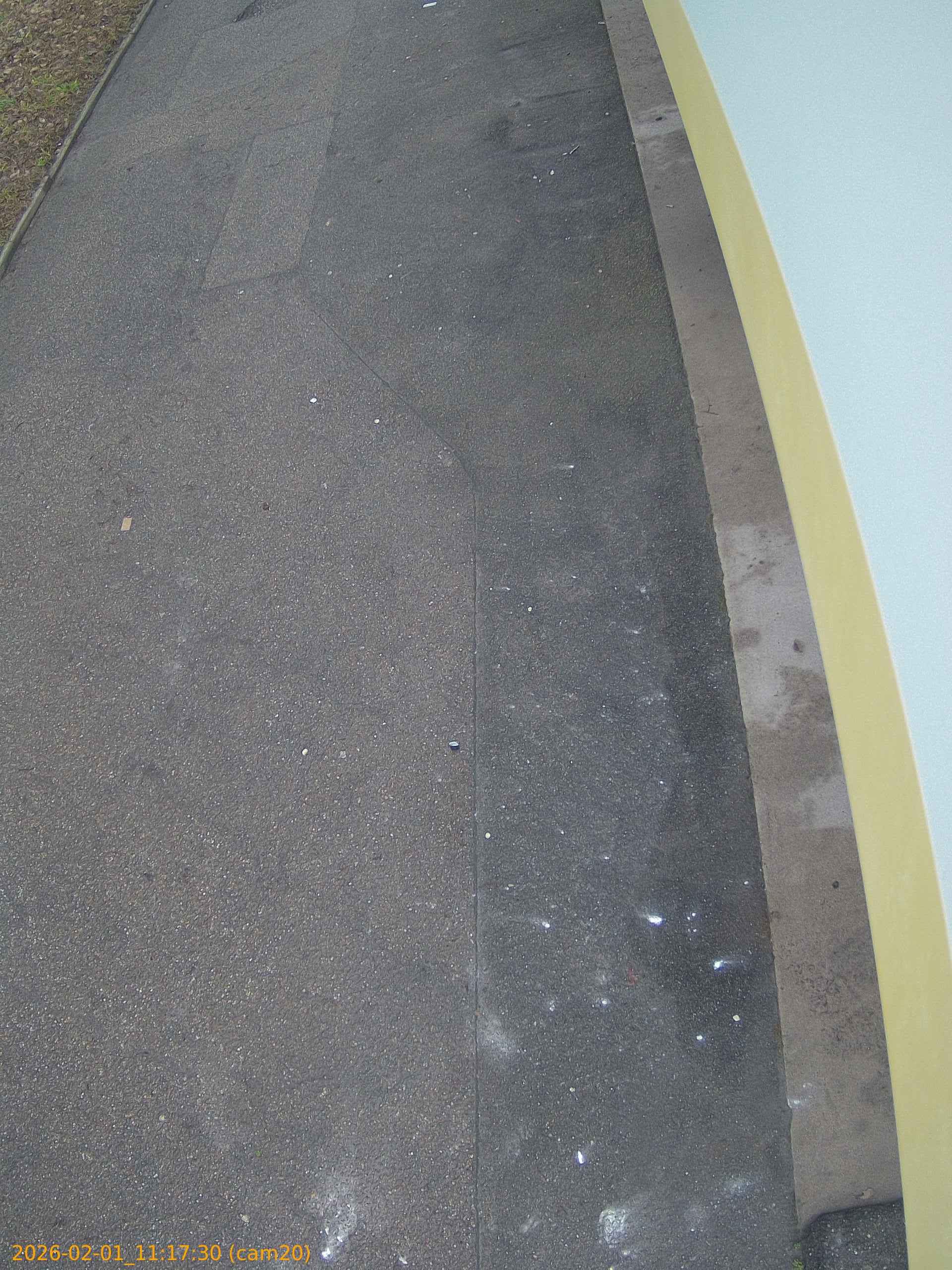 thumbnail_20260201111730