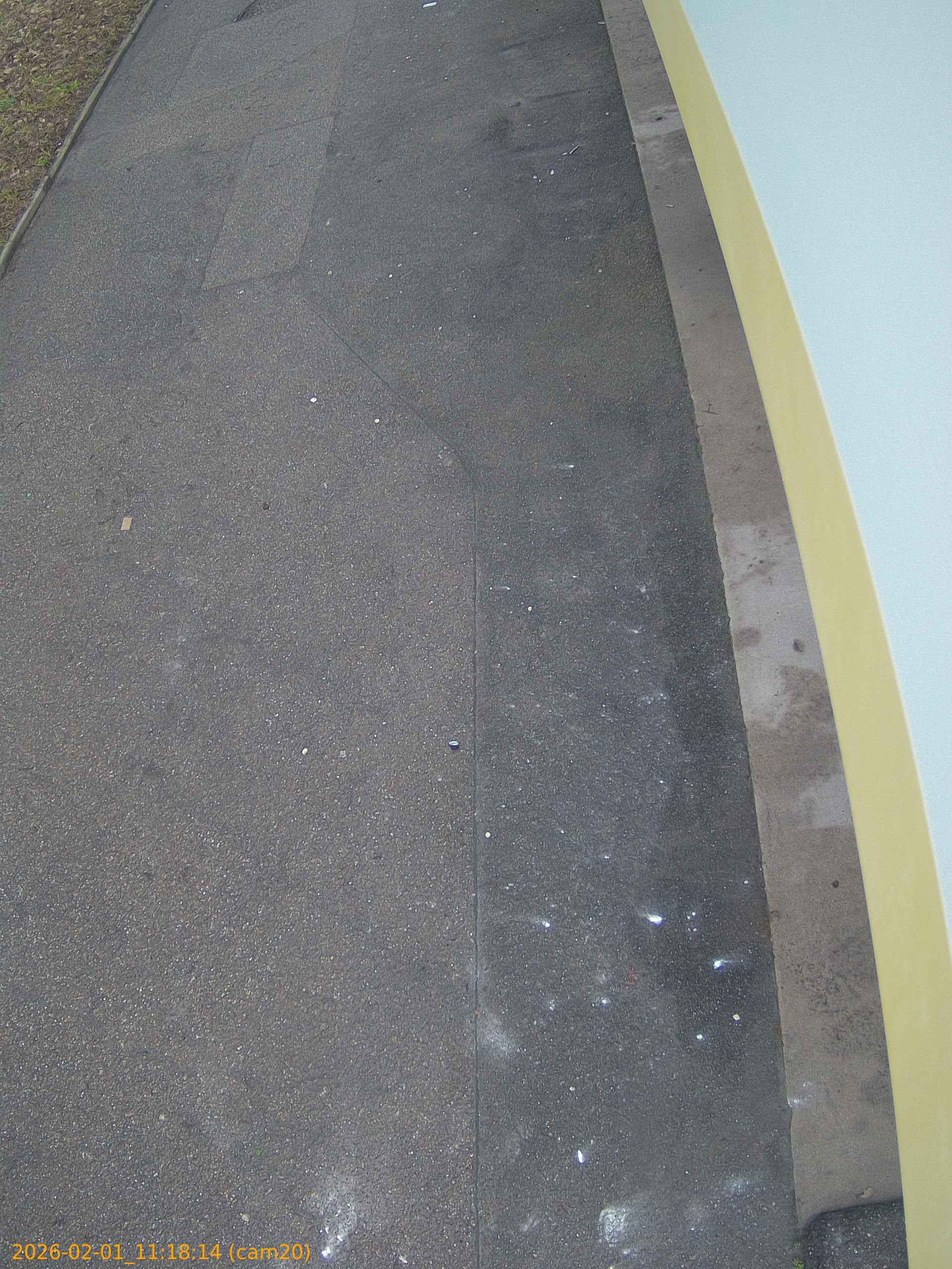 thumbnail_20260201111814