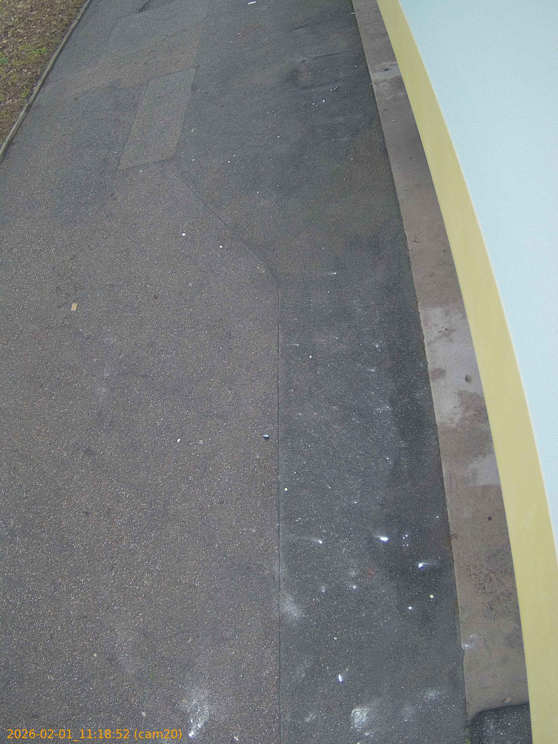 thumbnail_20260201111852