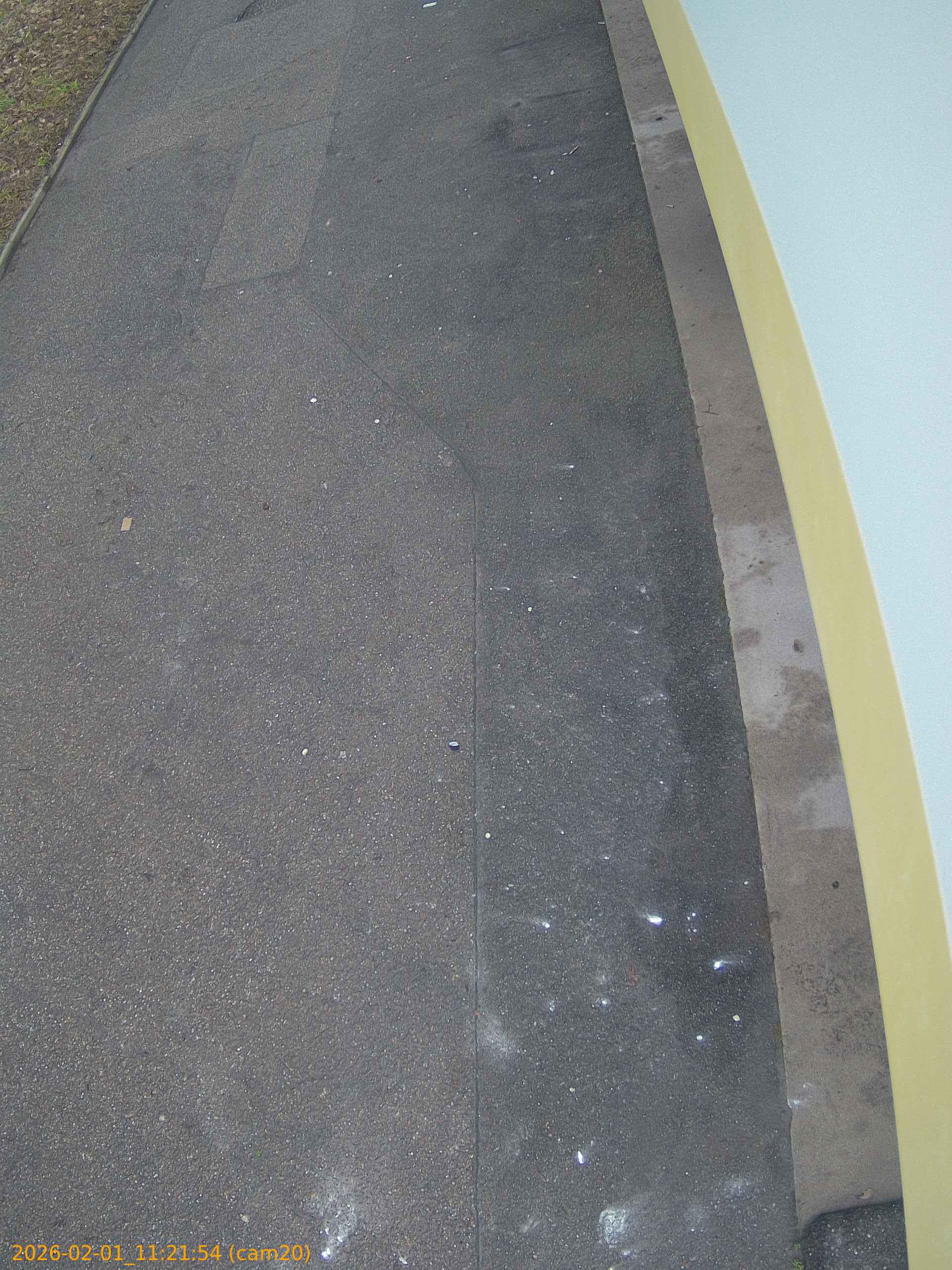 thumbnail_20260201112154