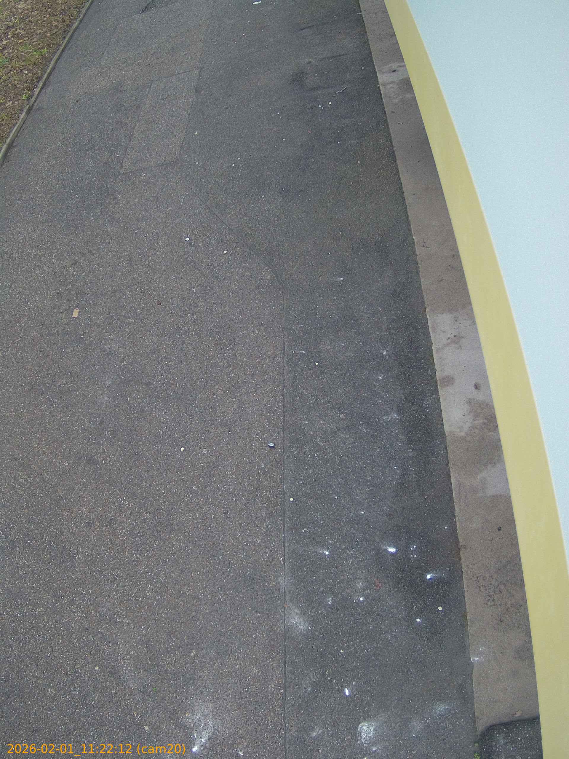 thumbnail_20260201112212