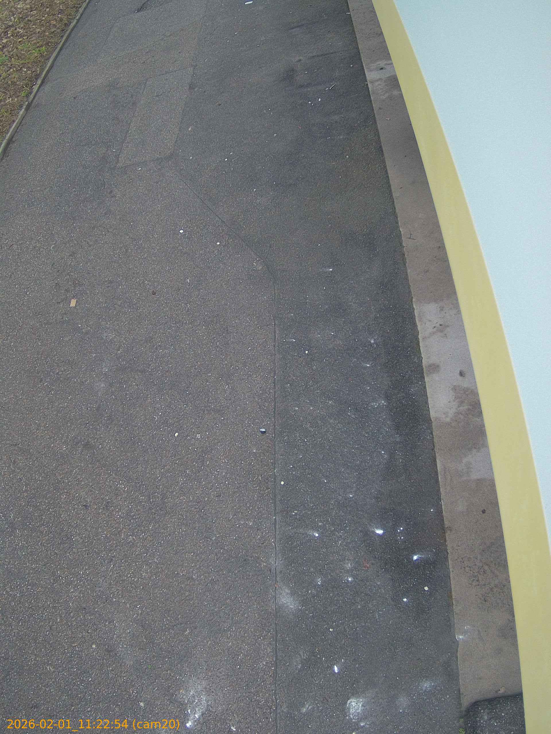 thumbnail_20260201112254