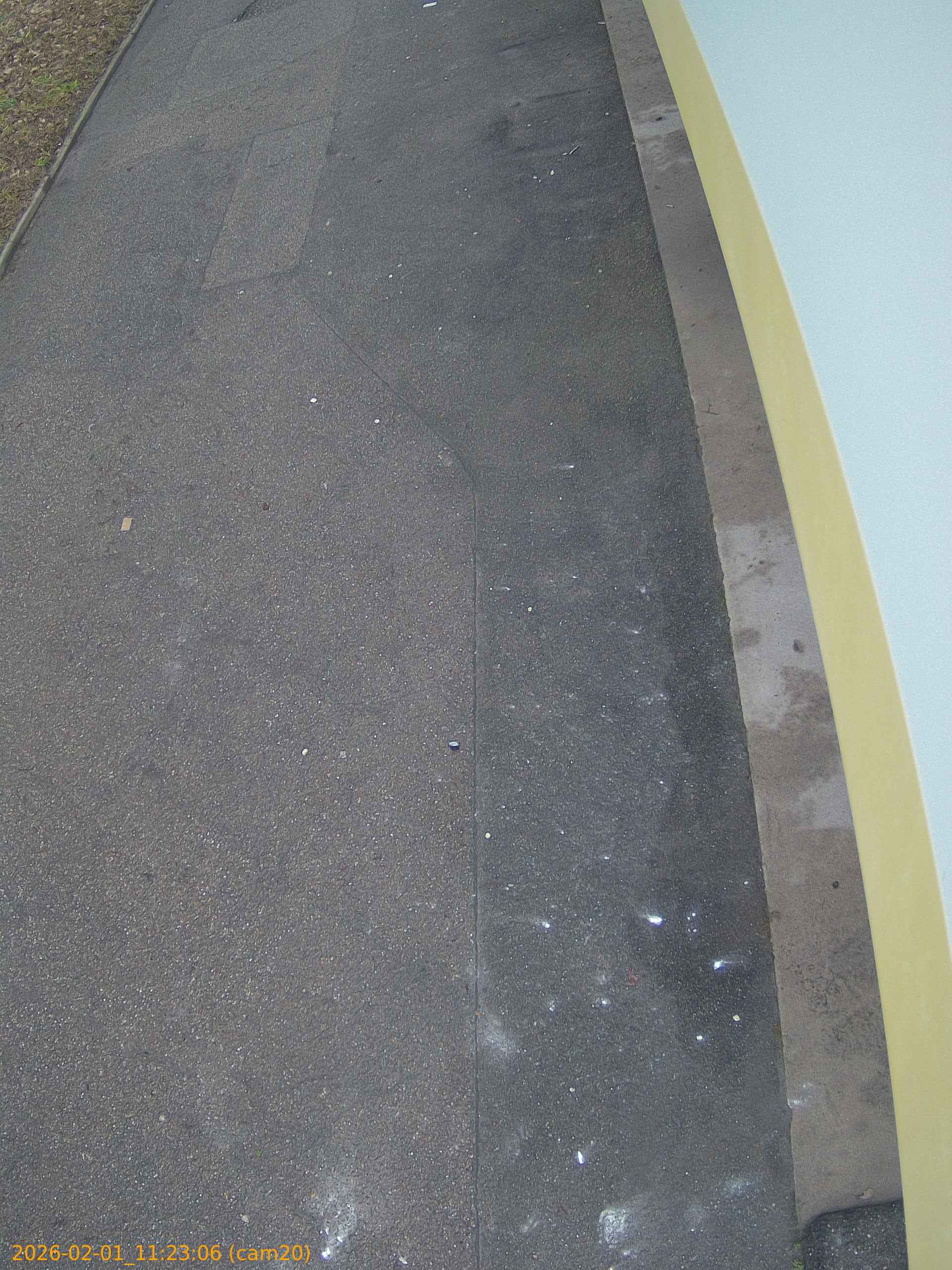 thumbnail_20260201112306