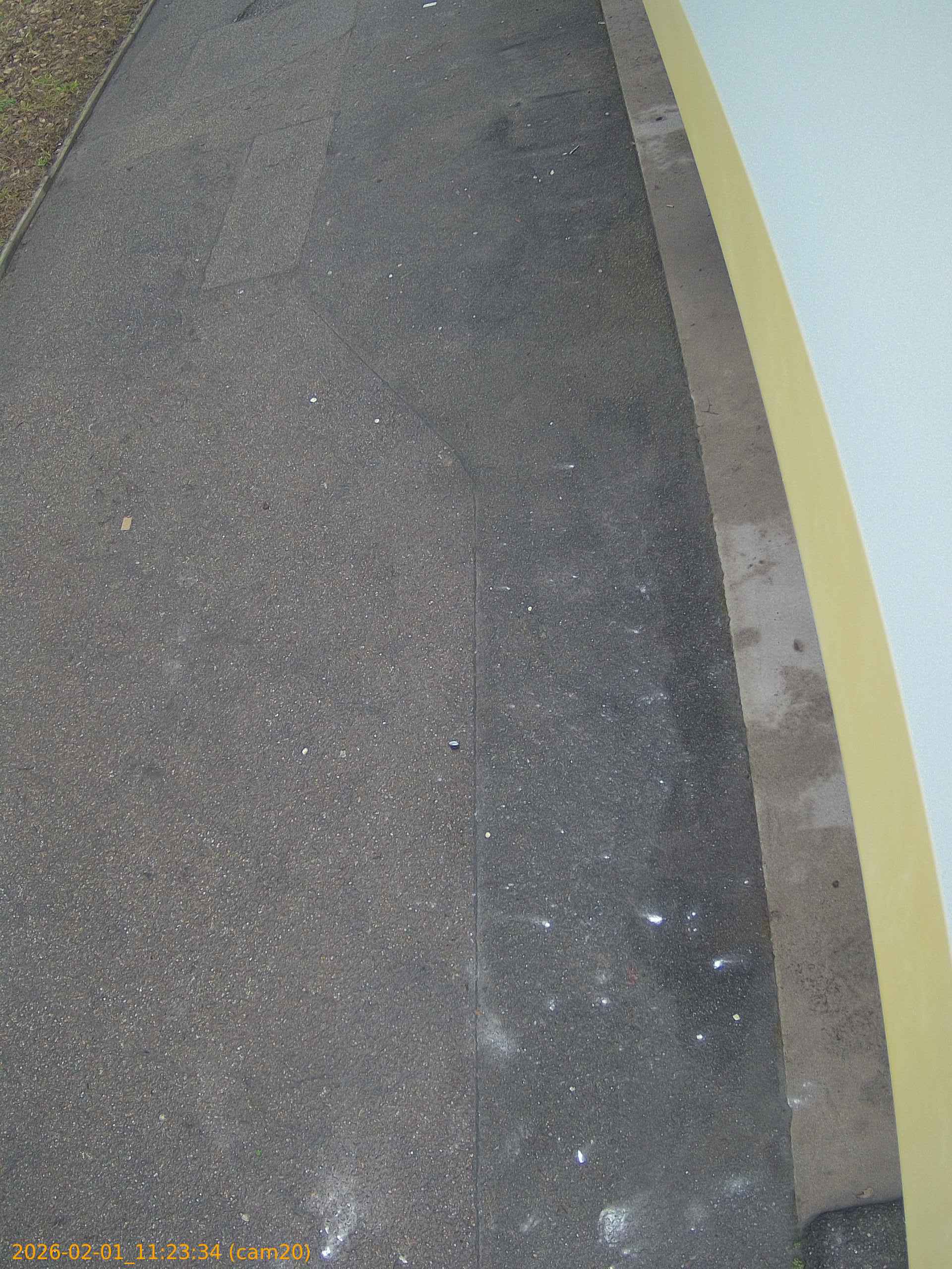 thumbnail_20260201112334