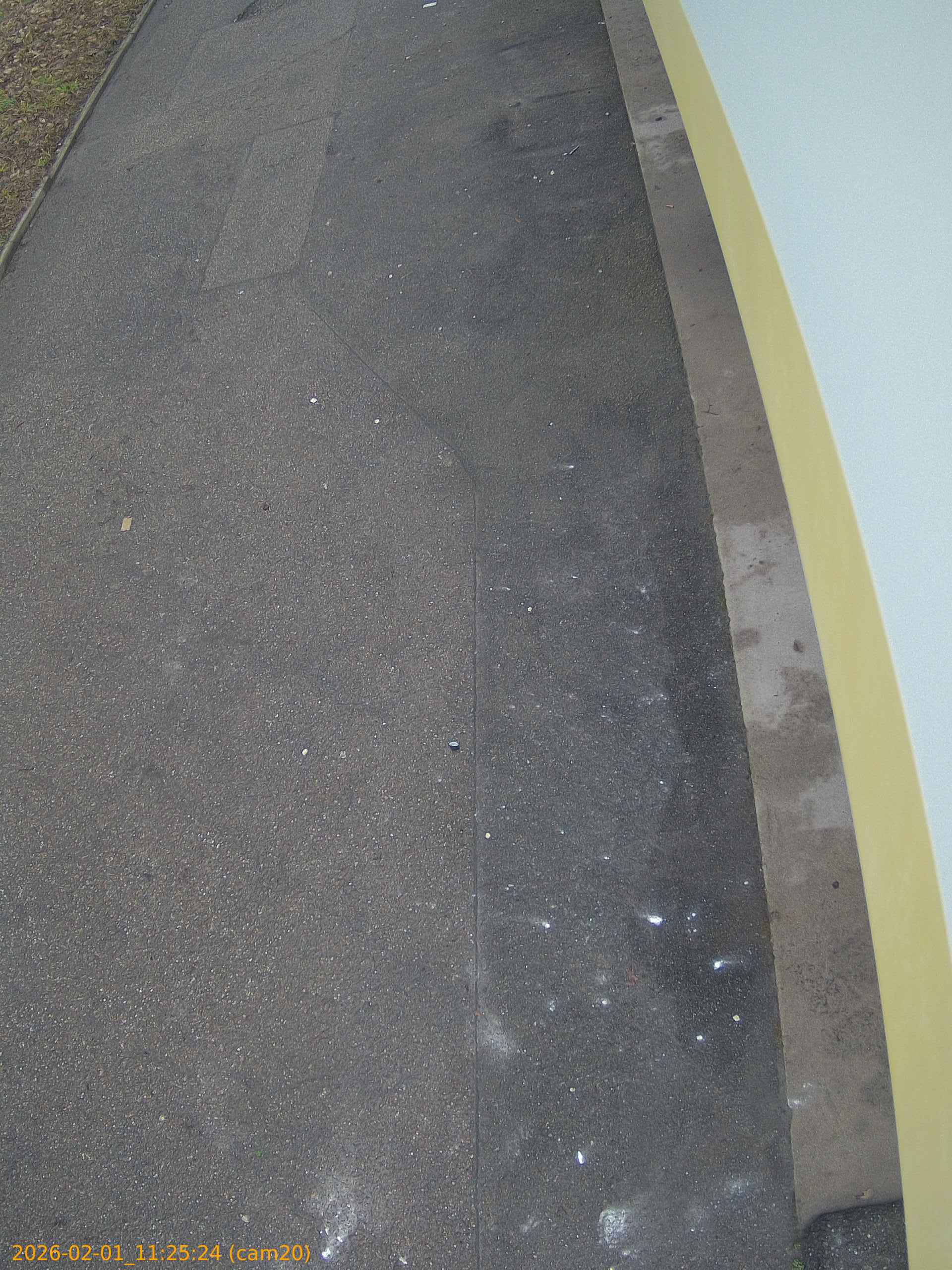 thumbnail_20260201112524