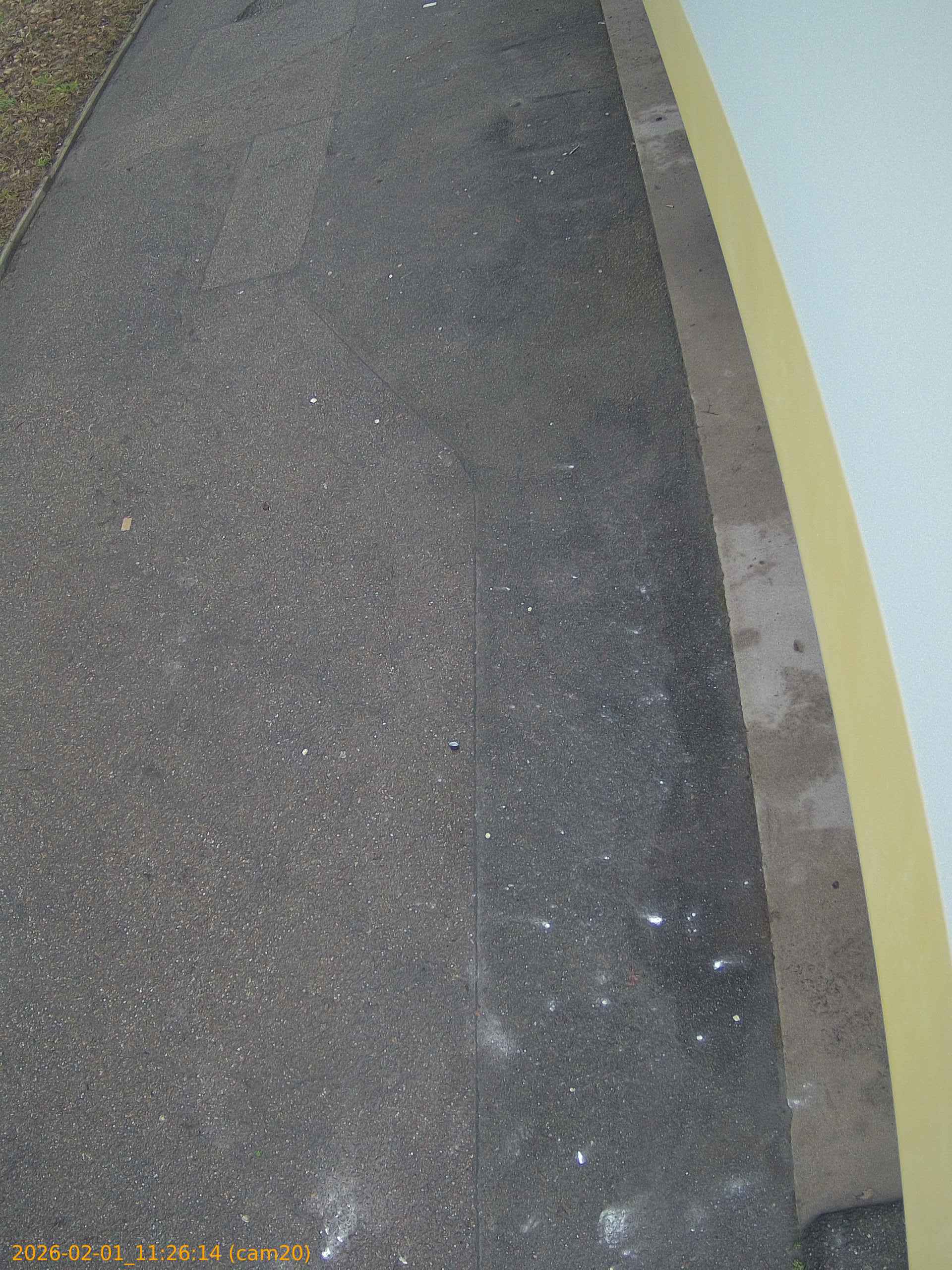 thumbnail_20260201112614