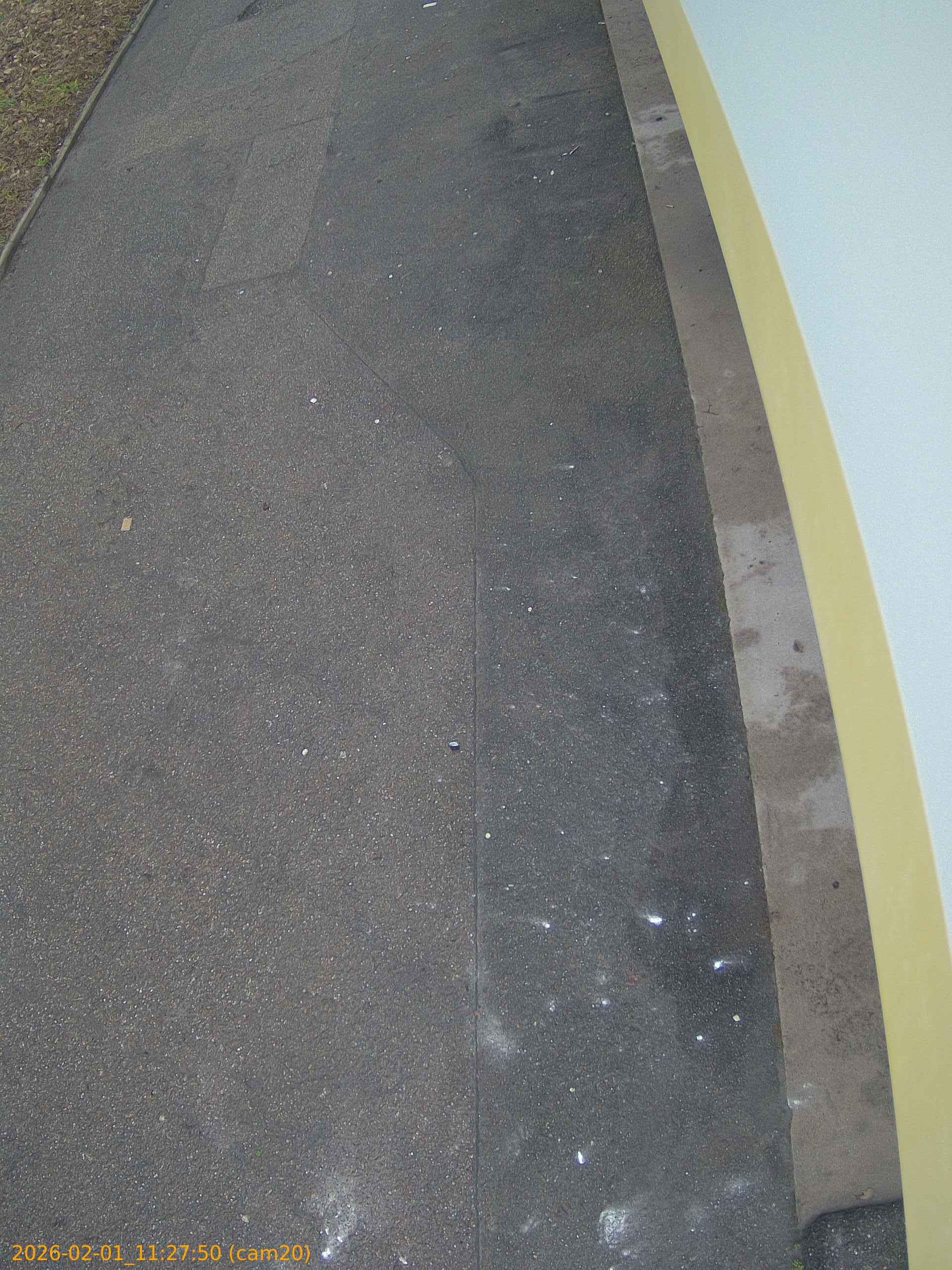 thumbnail_20260201112750